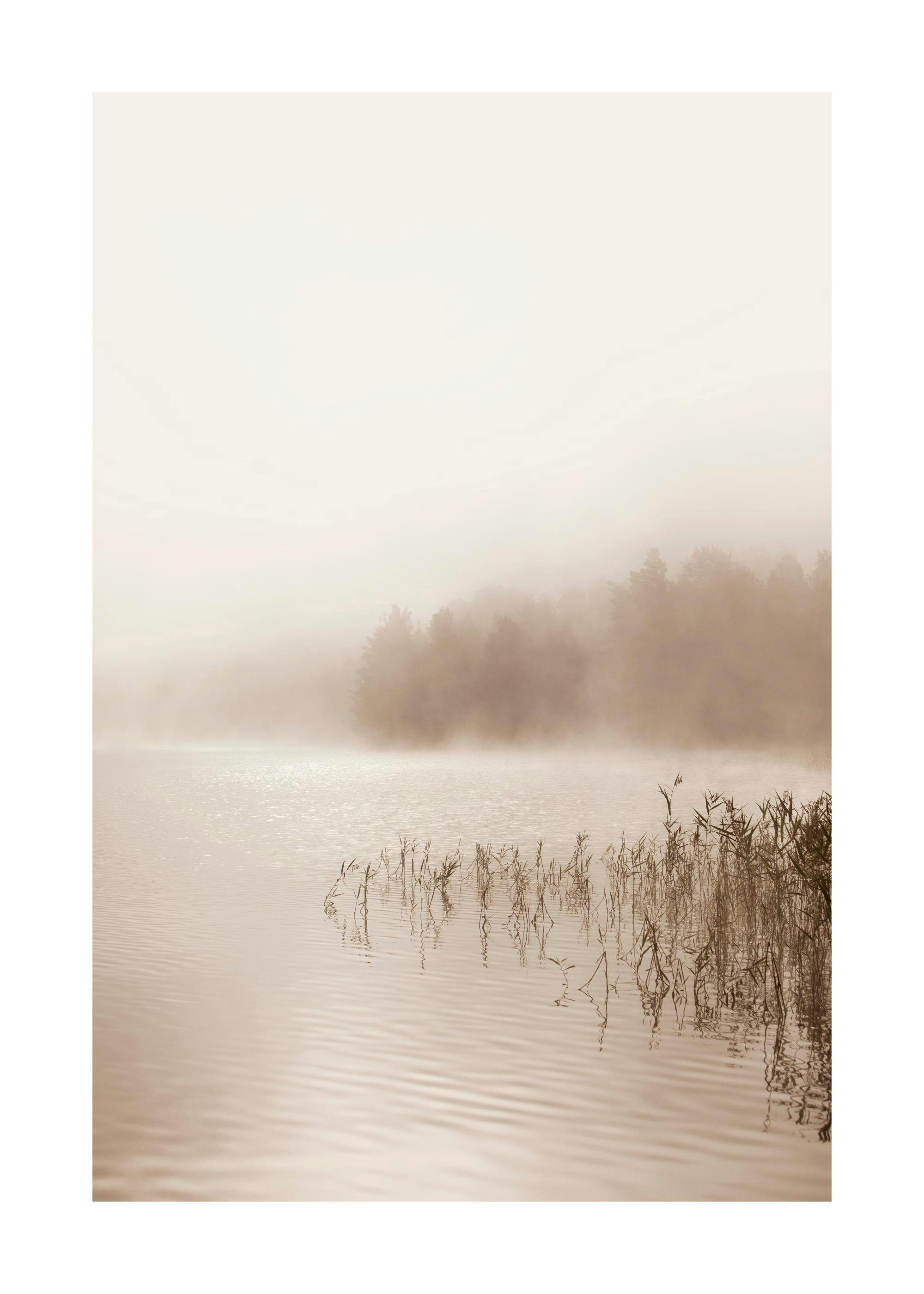 Calm Foggy Lake Plagát 0