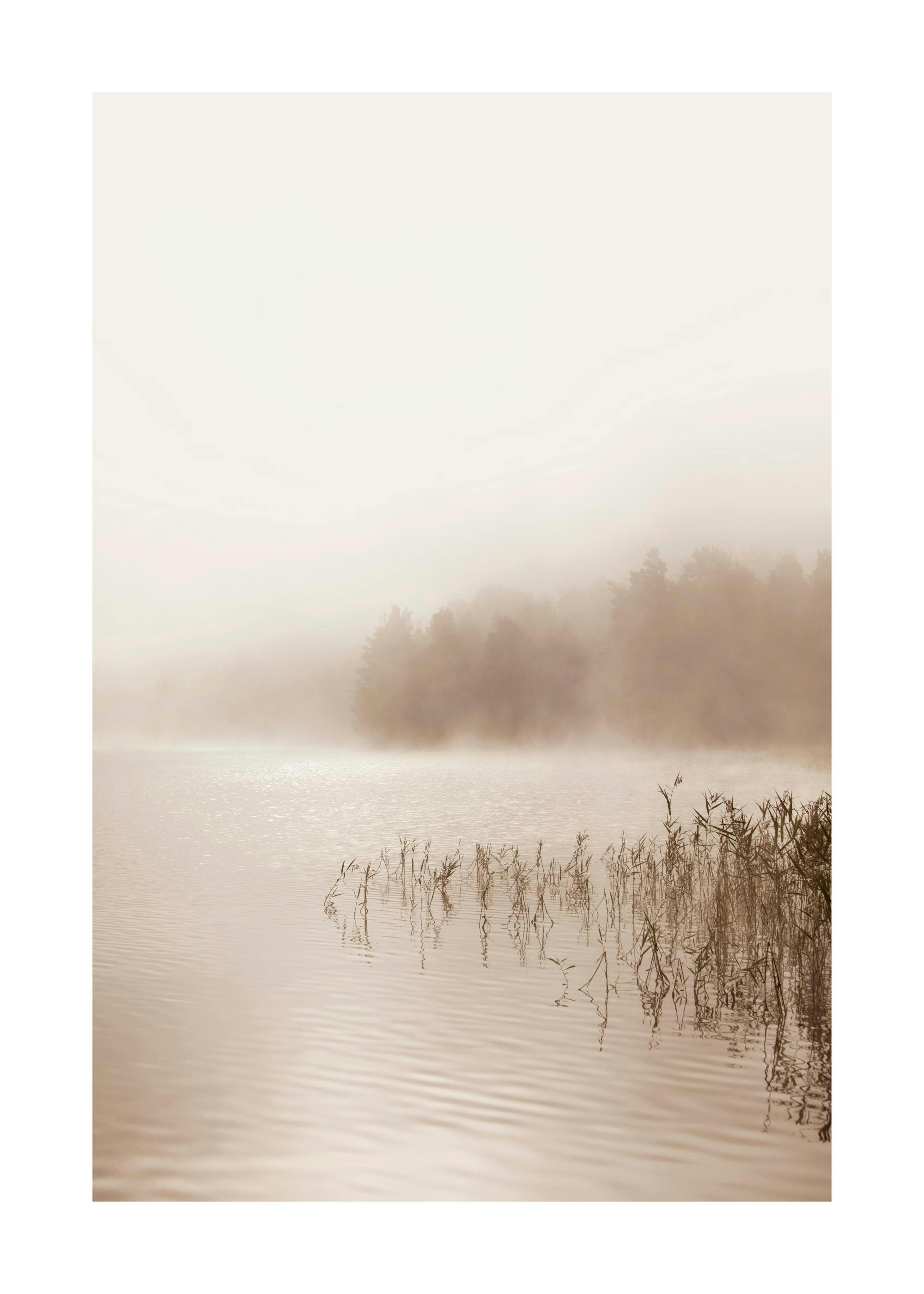 Calm Foggy Lake Plakat 0