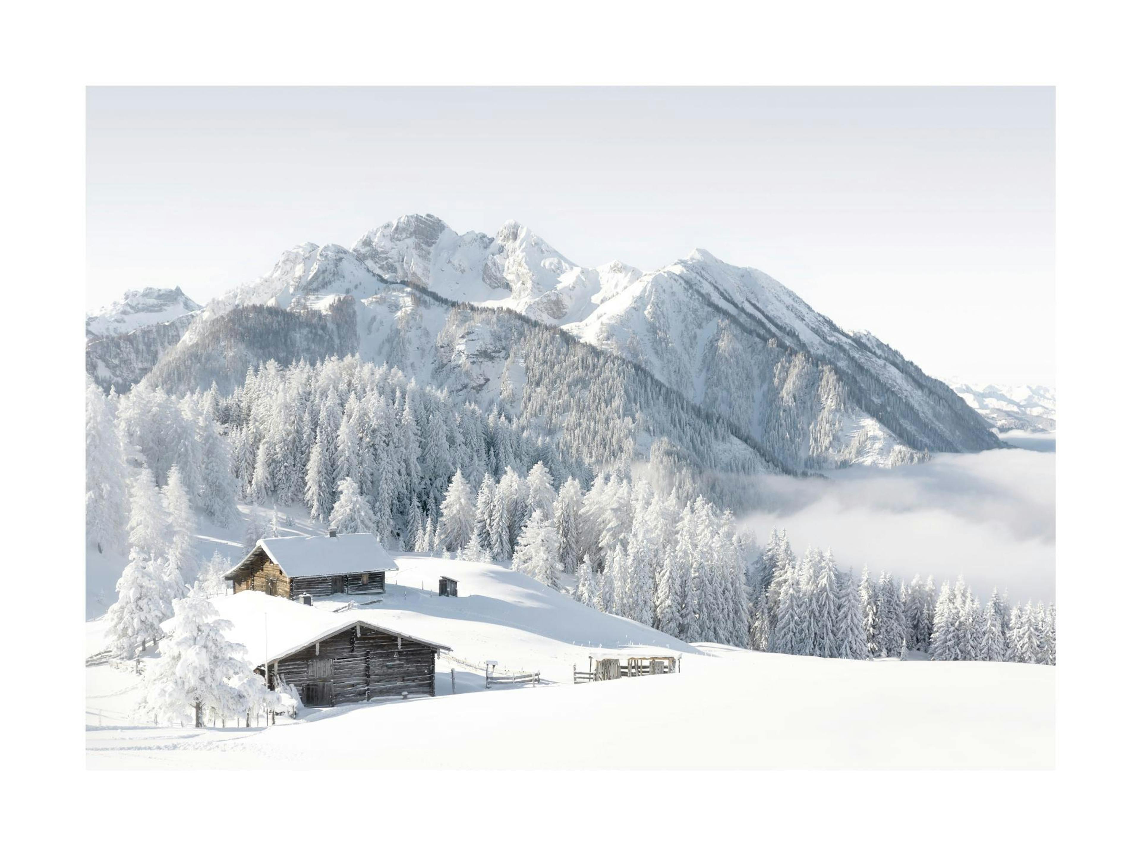Snowscape Print