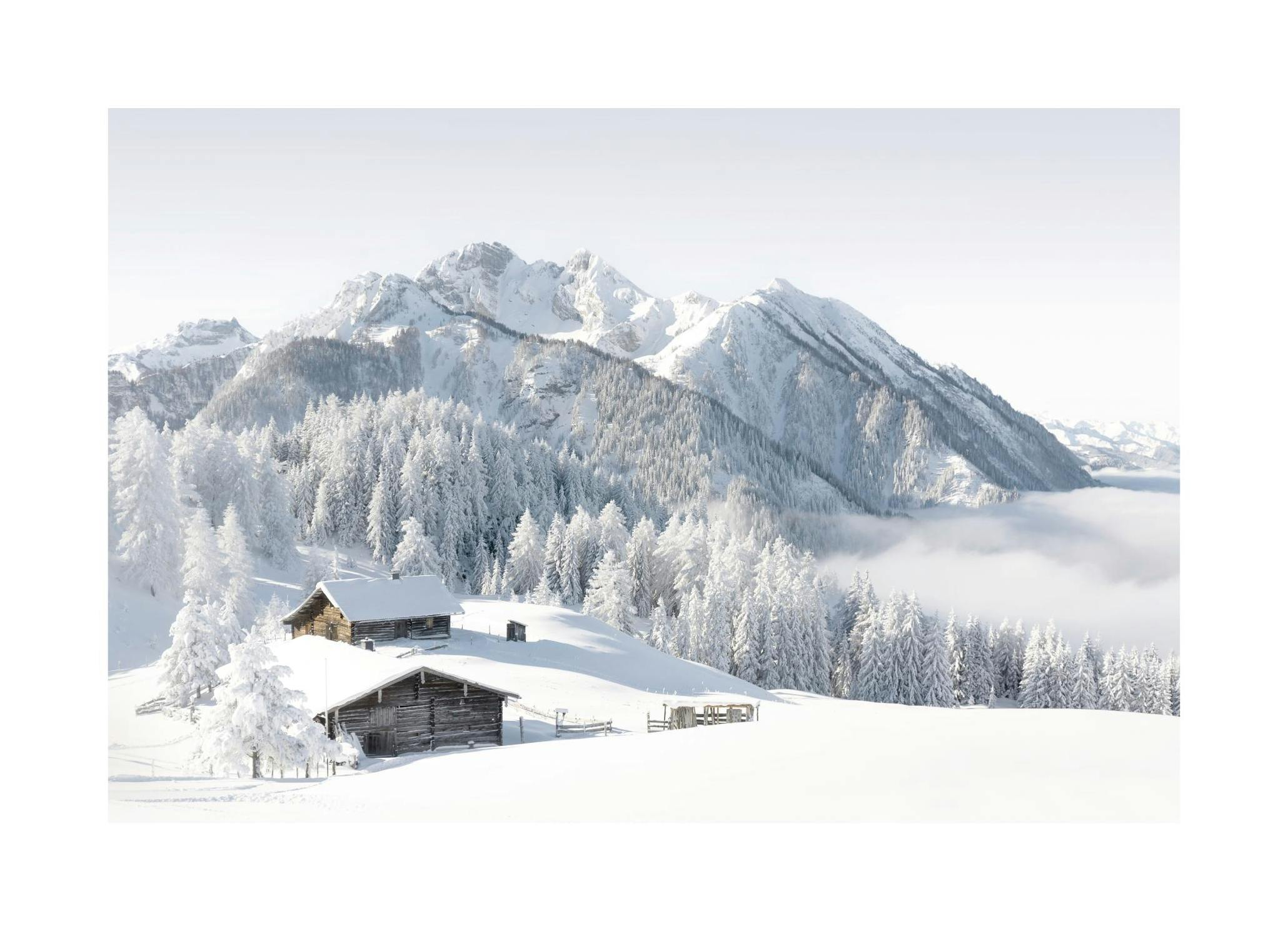 Snowscape Print (50x70 cm)