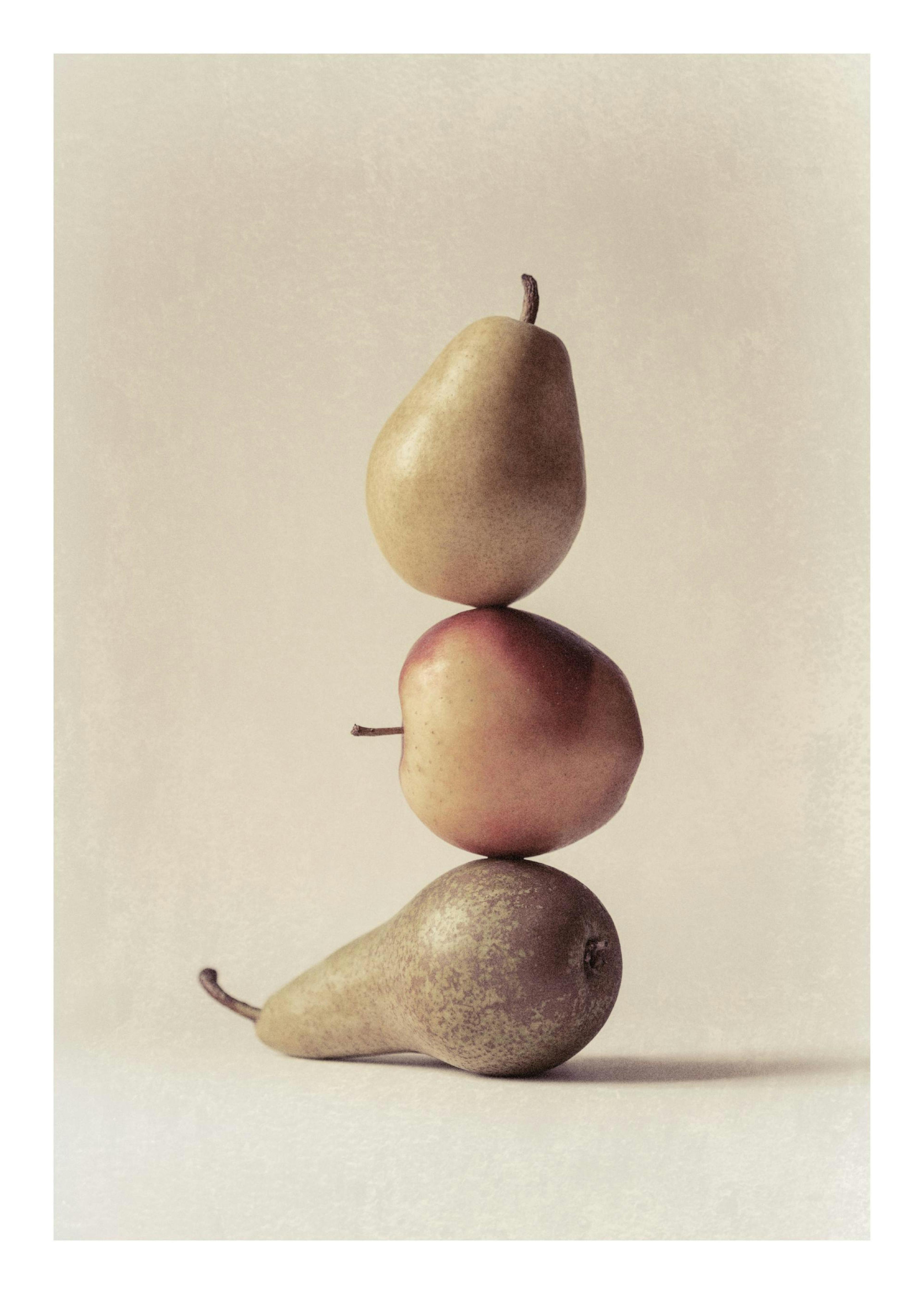 Still Life Pear No1 Affiche 0