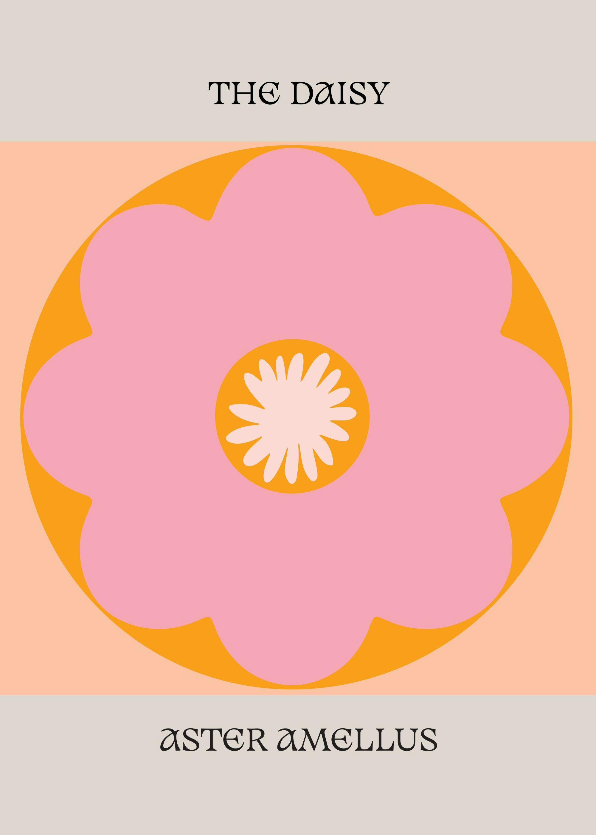 The Daisy No2 Poster 0