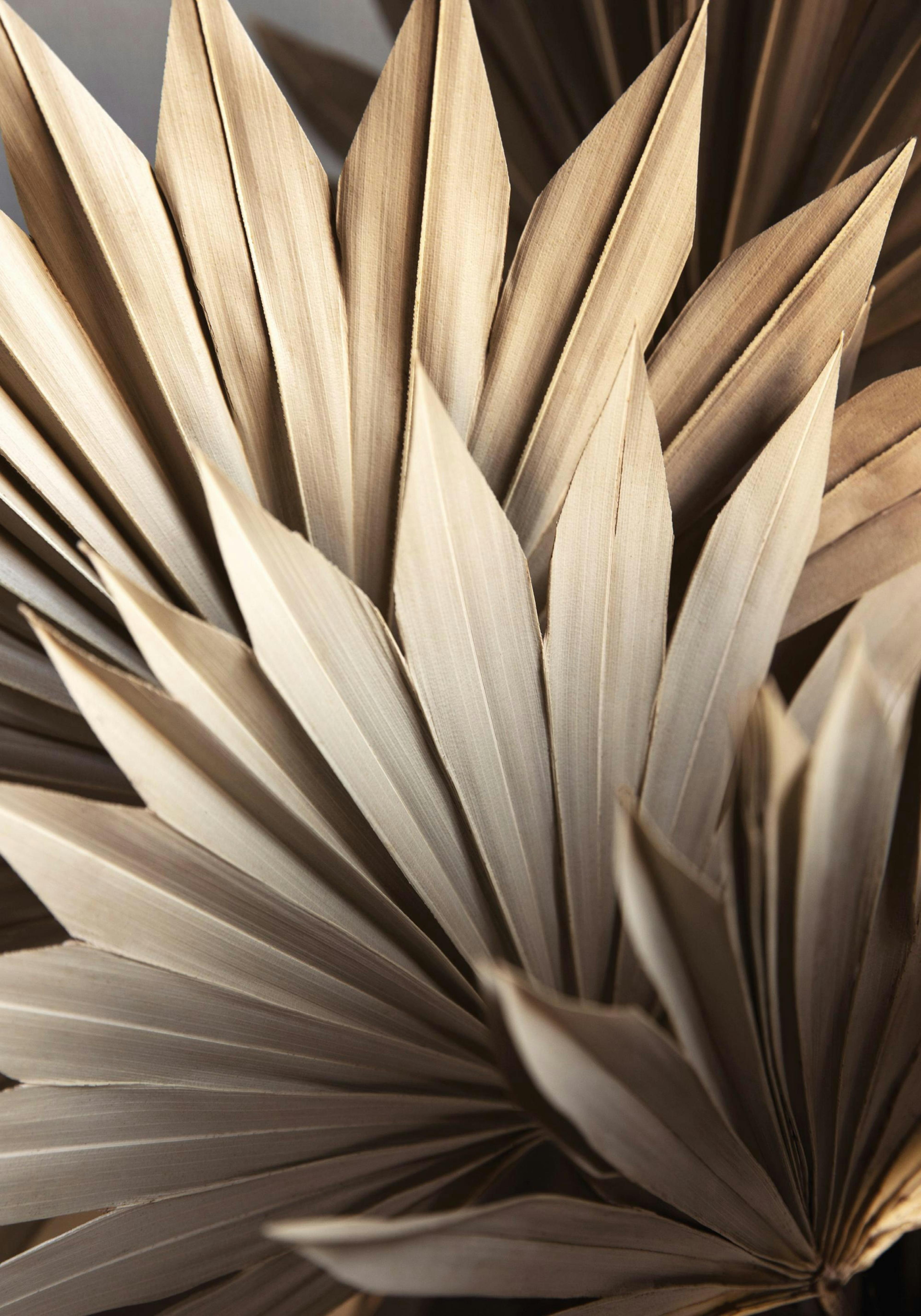 Rustic Leaves No1 Print