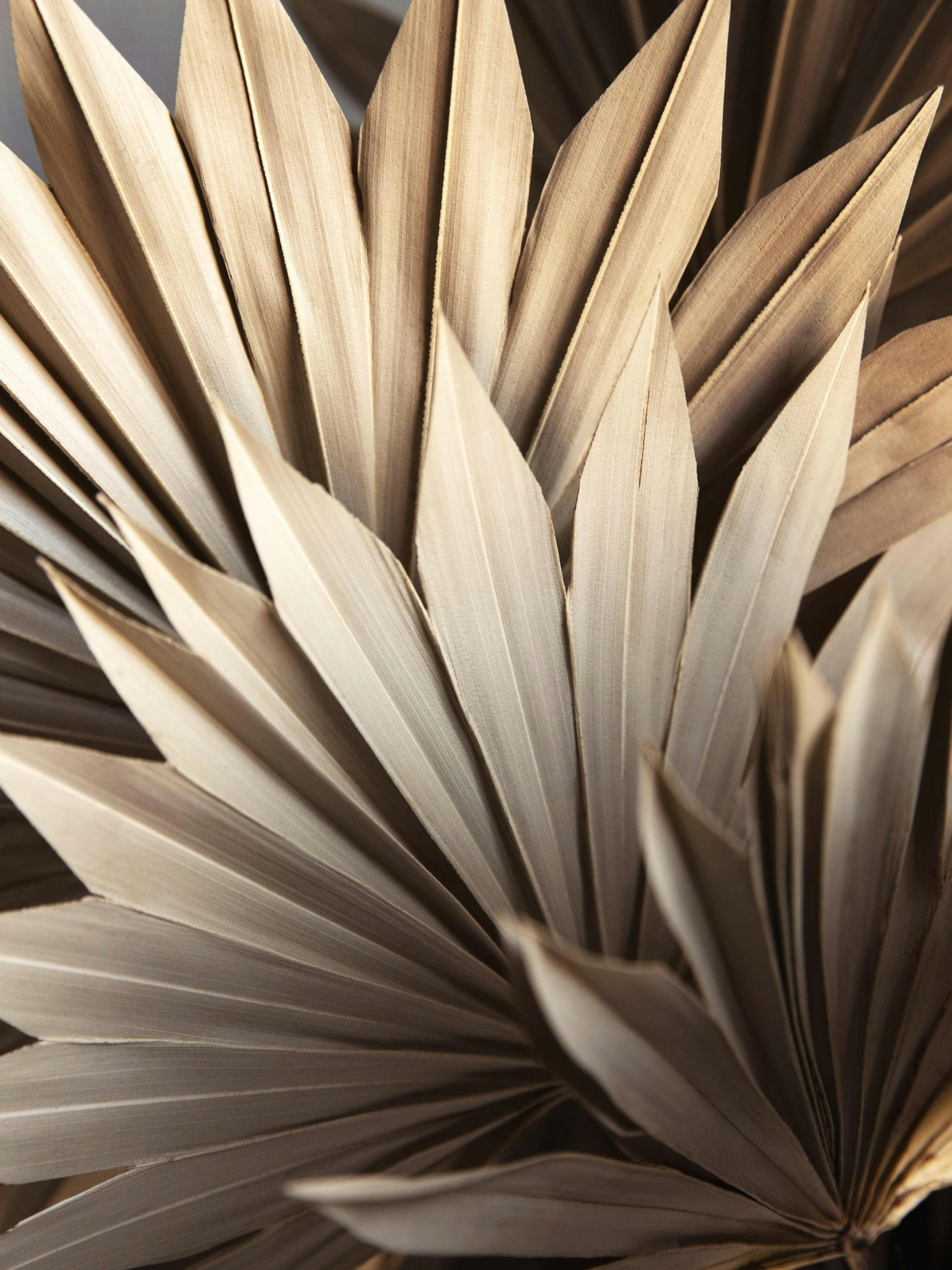 Rustic Leaves No1 Poster 0