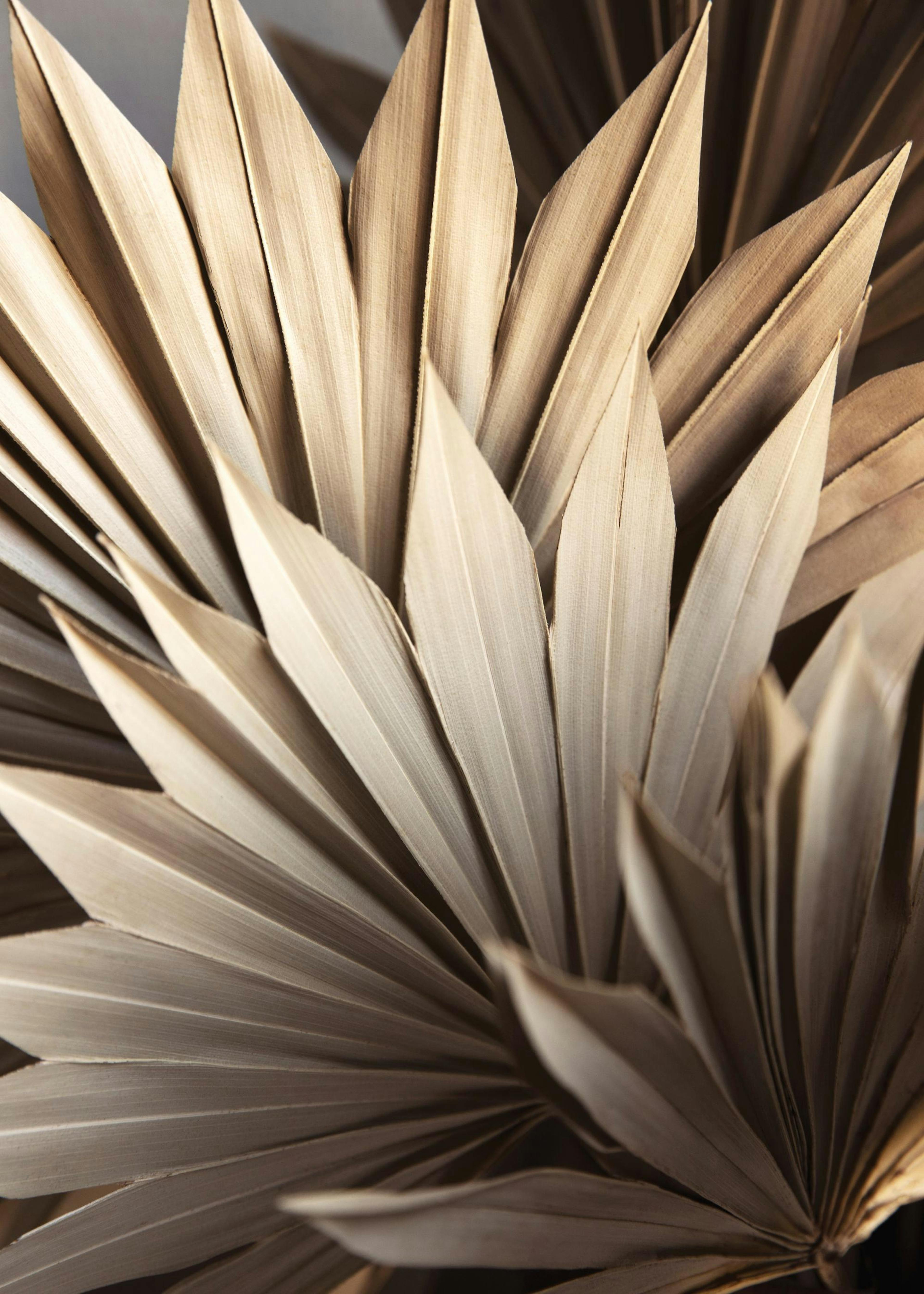 Rustic Leaves No1 Poster 0