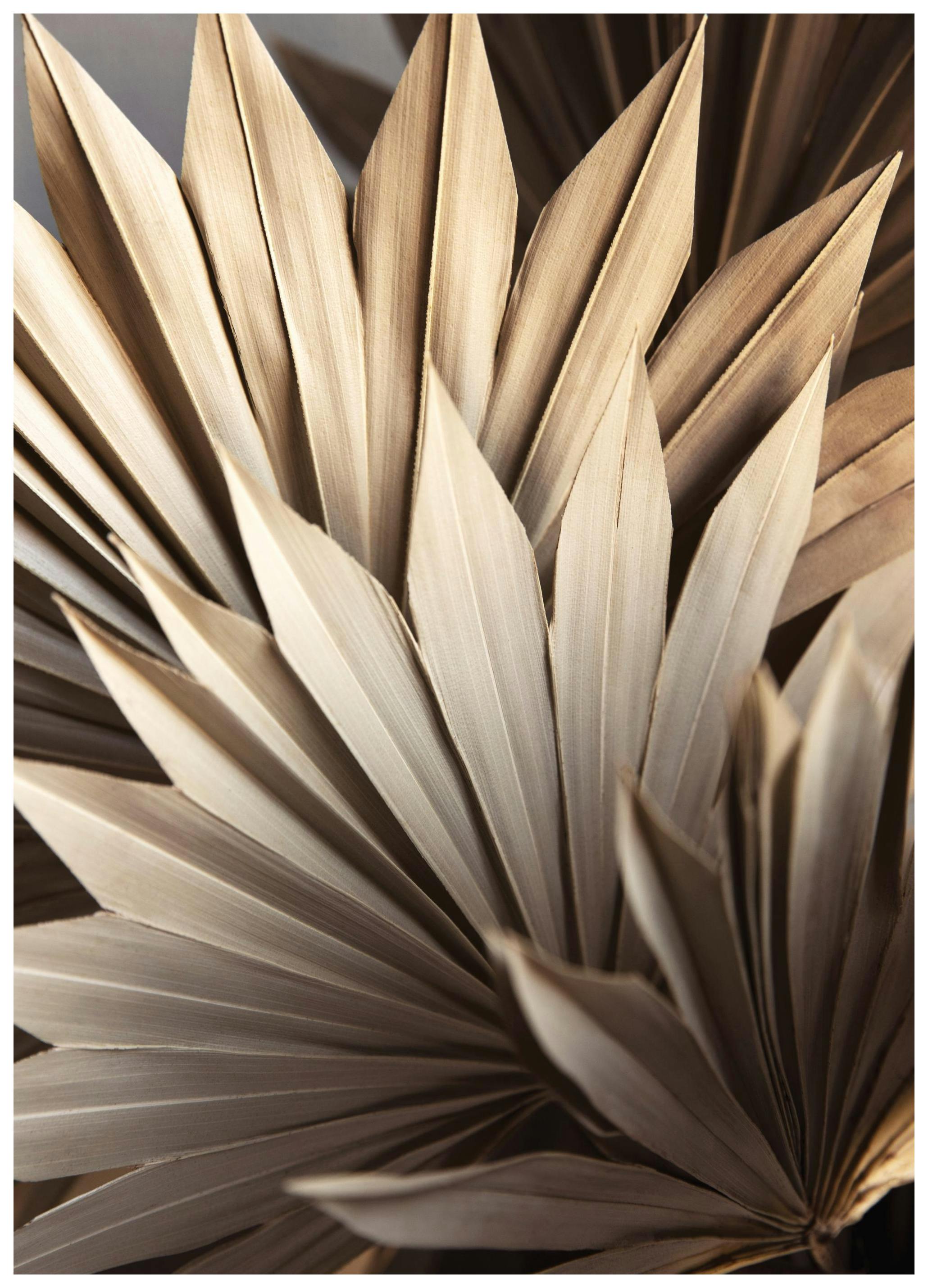 Rustic Leaves No1 Affiche (21x30 cm)