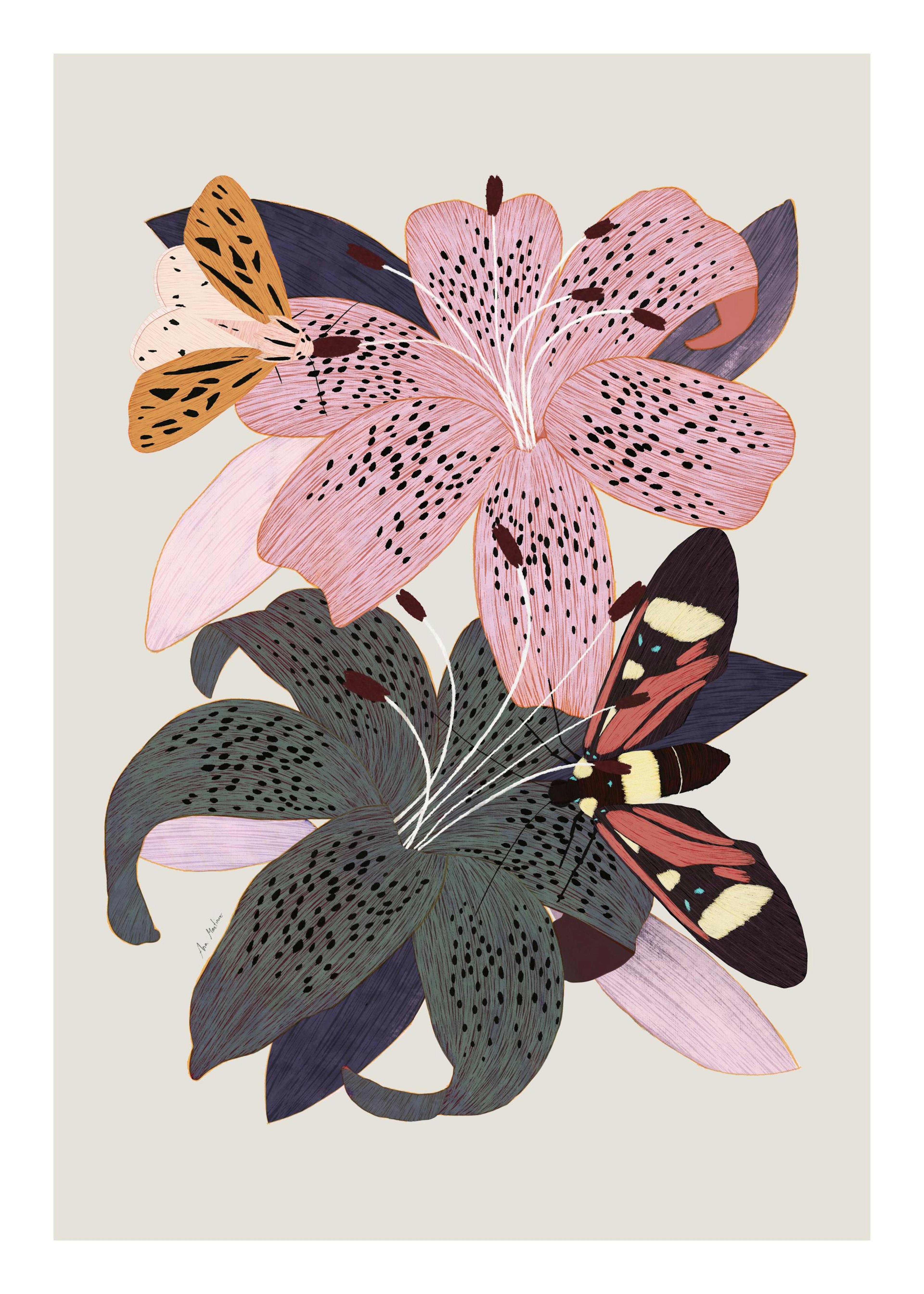 Lilies and Butterflies Print 0