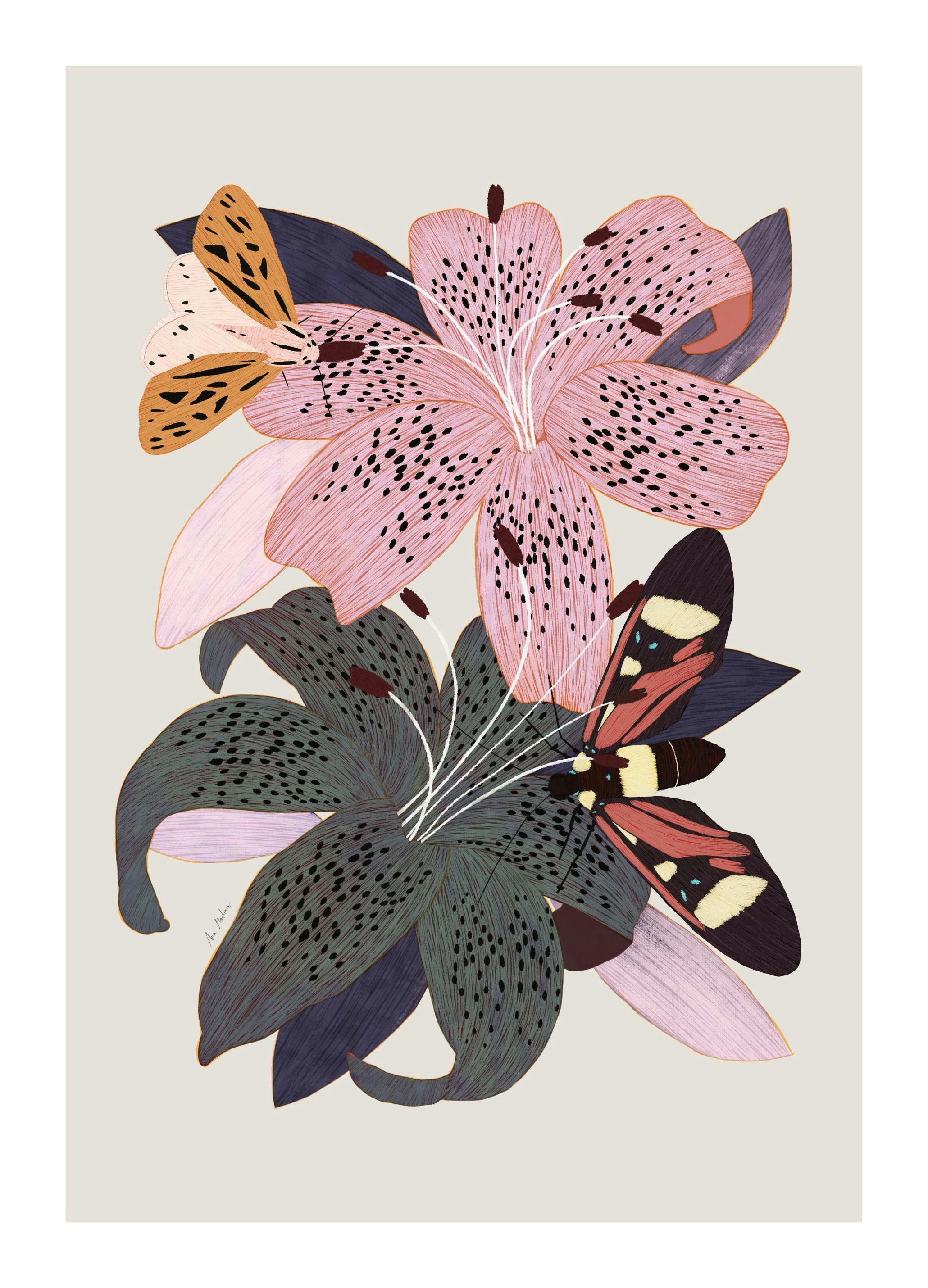 Lilies and Butterflies Affiche (30x40 cm)
