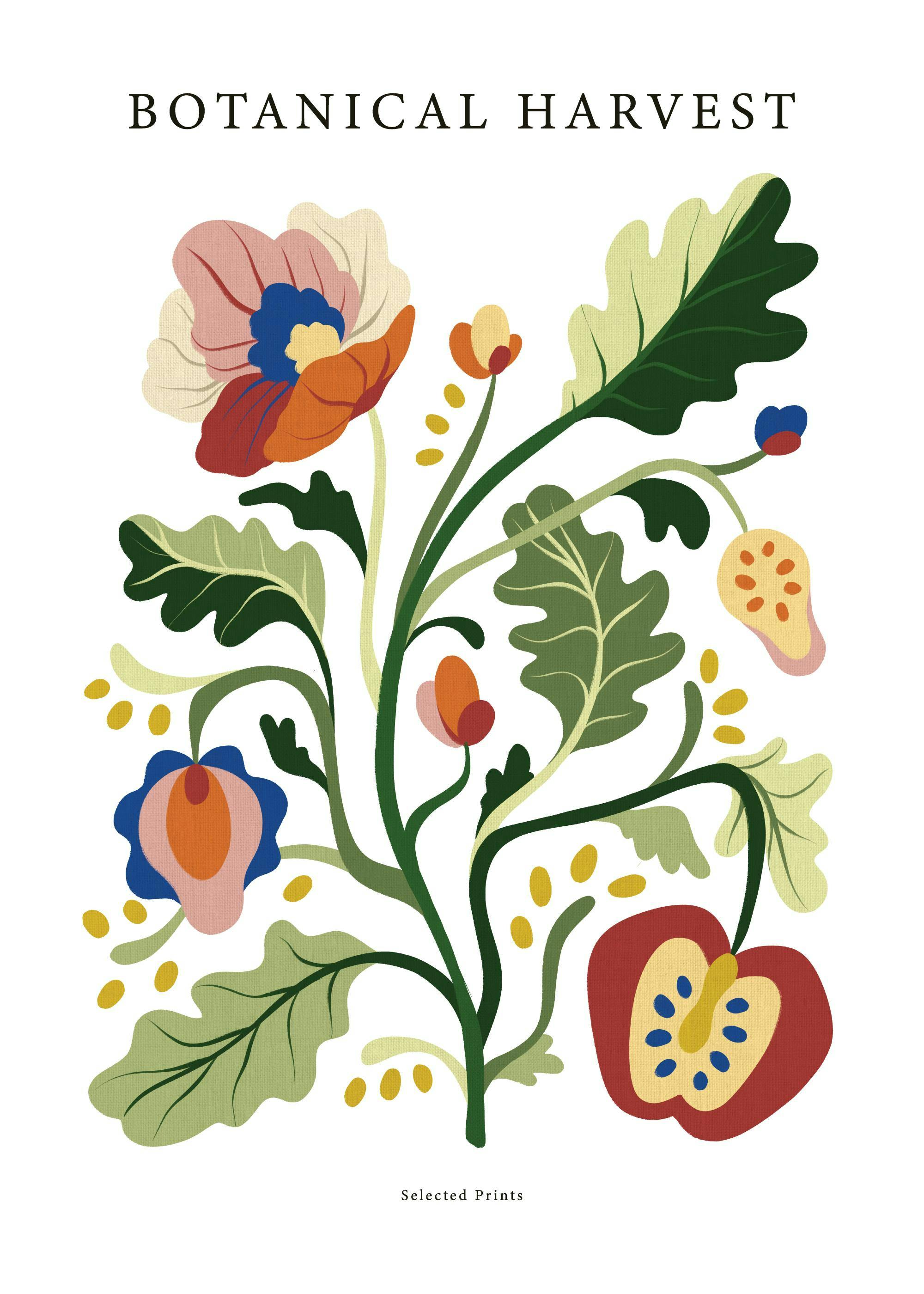 Botanical Harvest No2 Poster 0