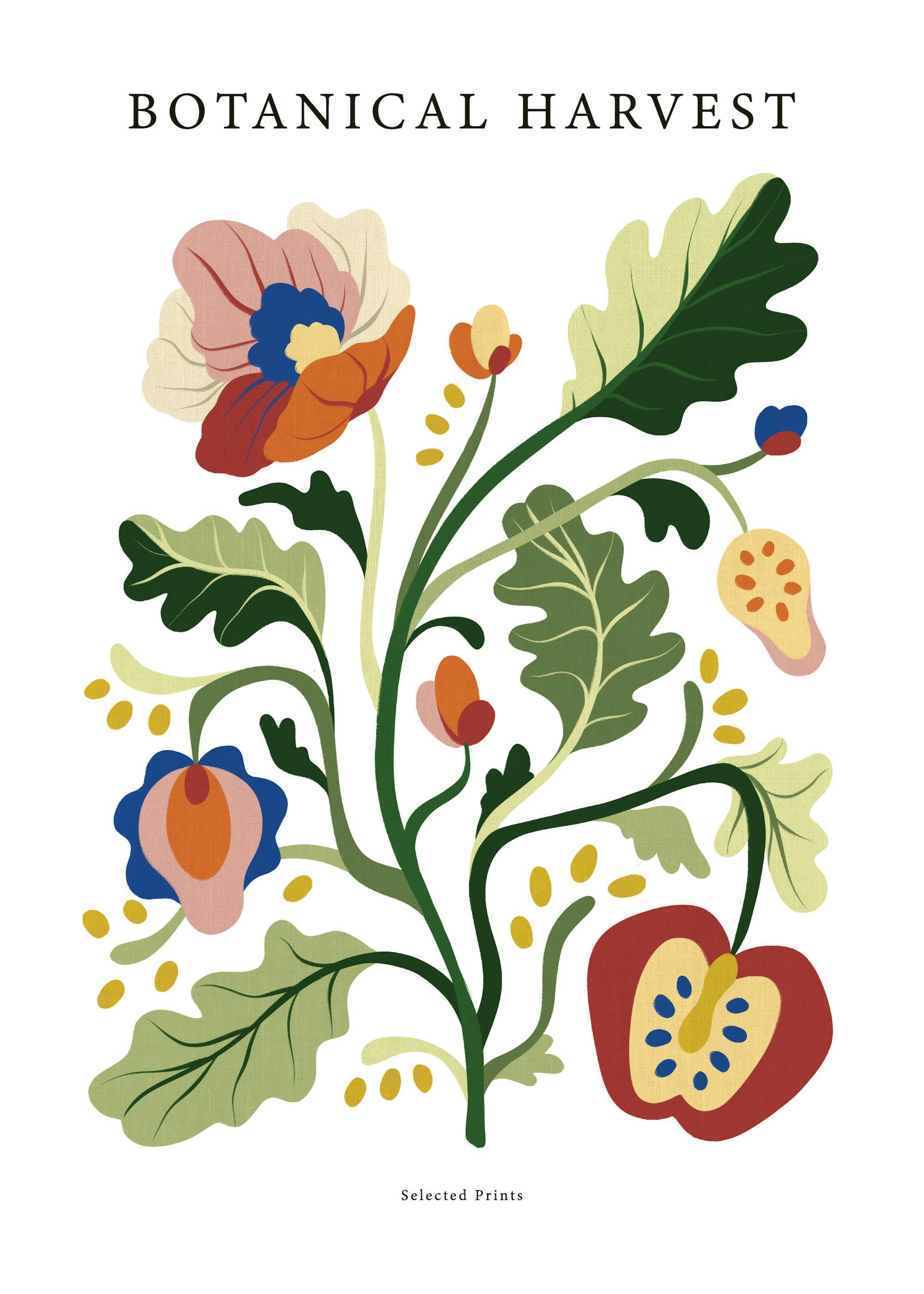 Botanical Harvest No2 Print 0