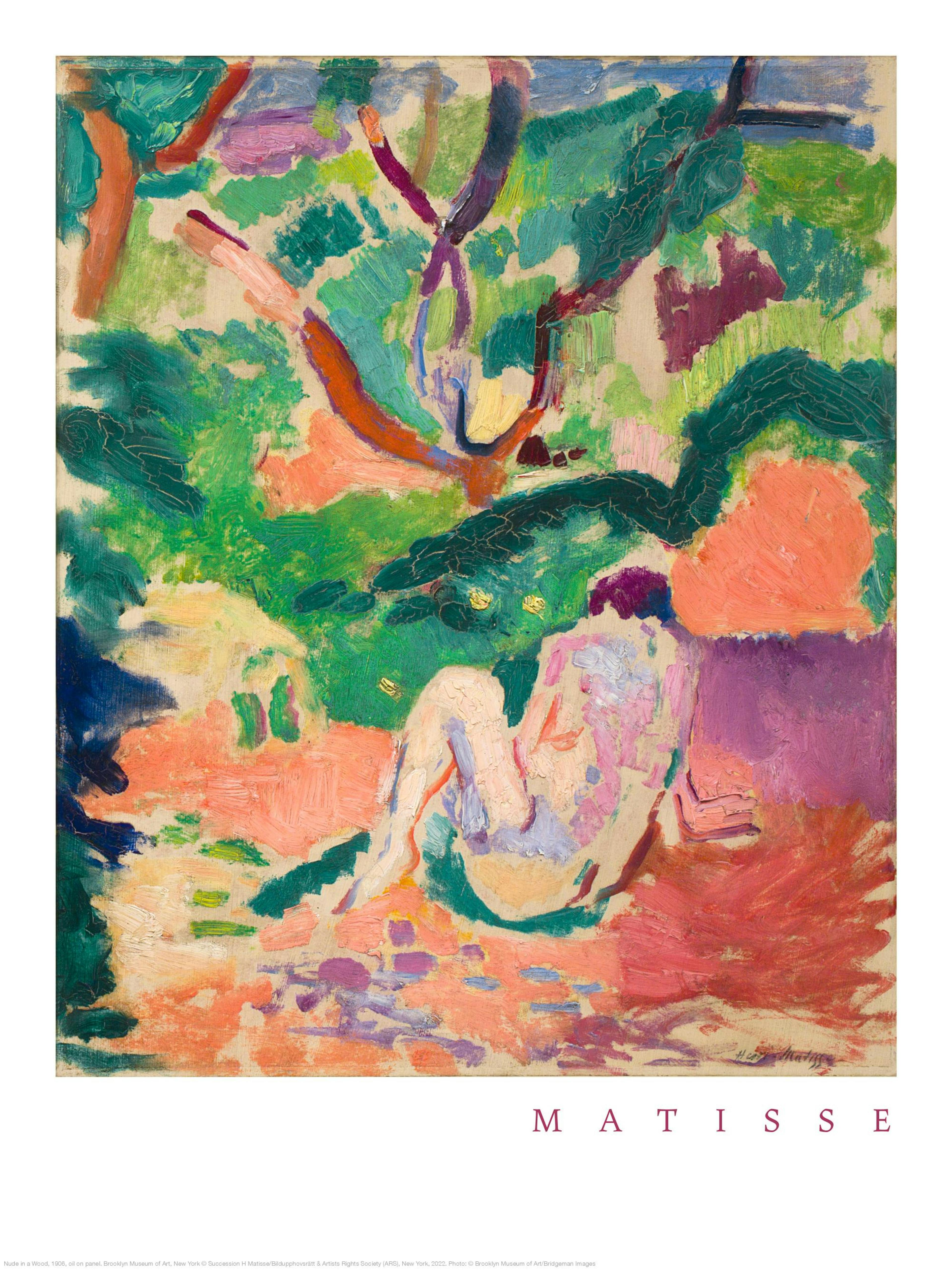 Matisse - Nude in a Wood Print