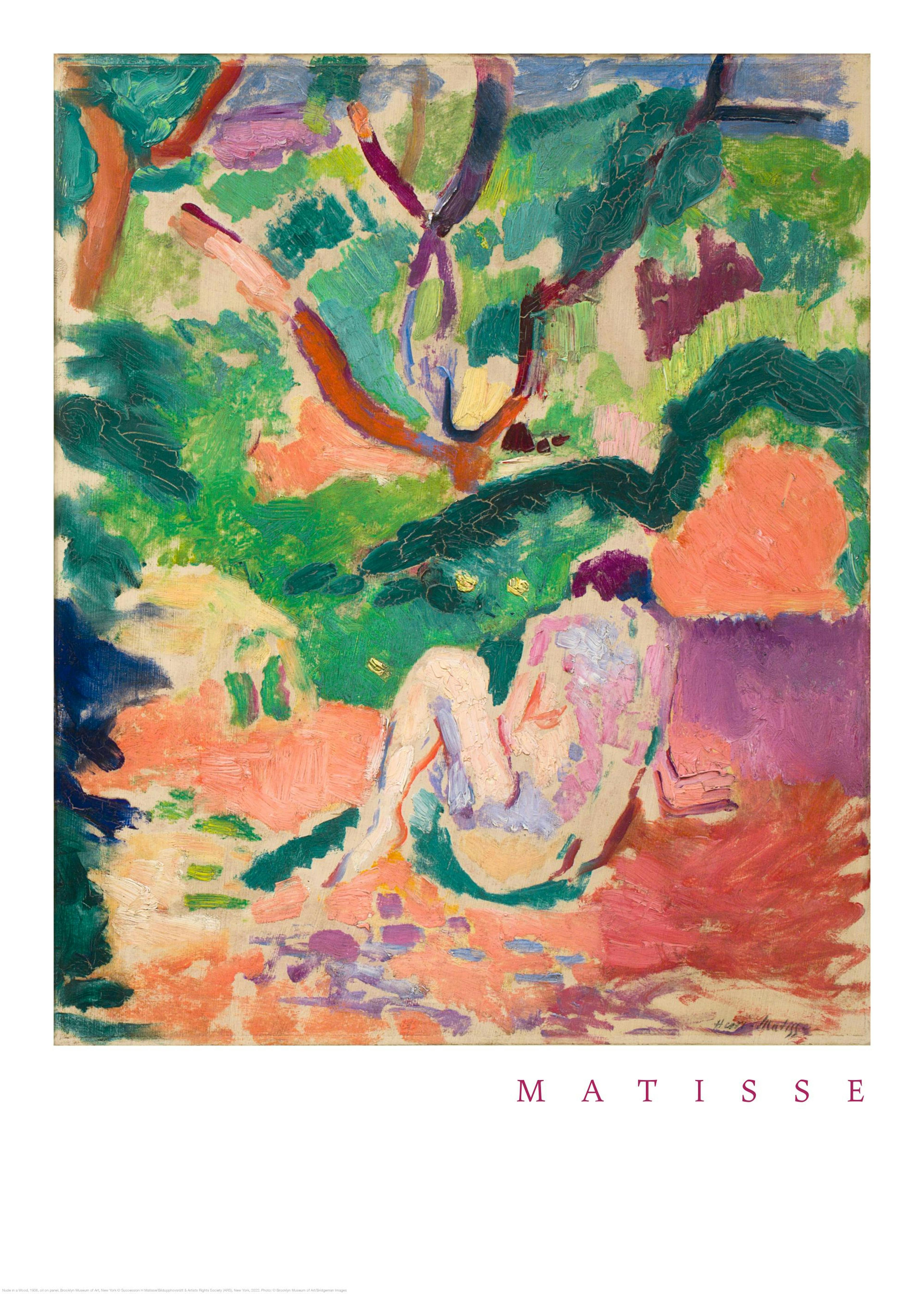 Matisse - Nude in a Wood Affiche 0