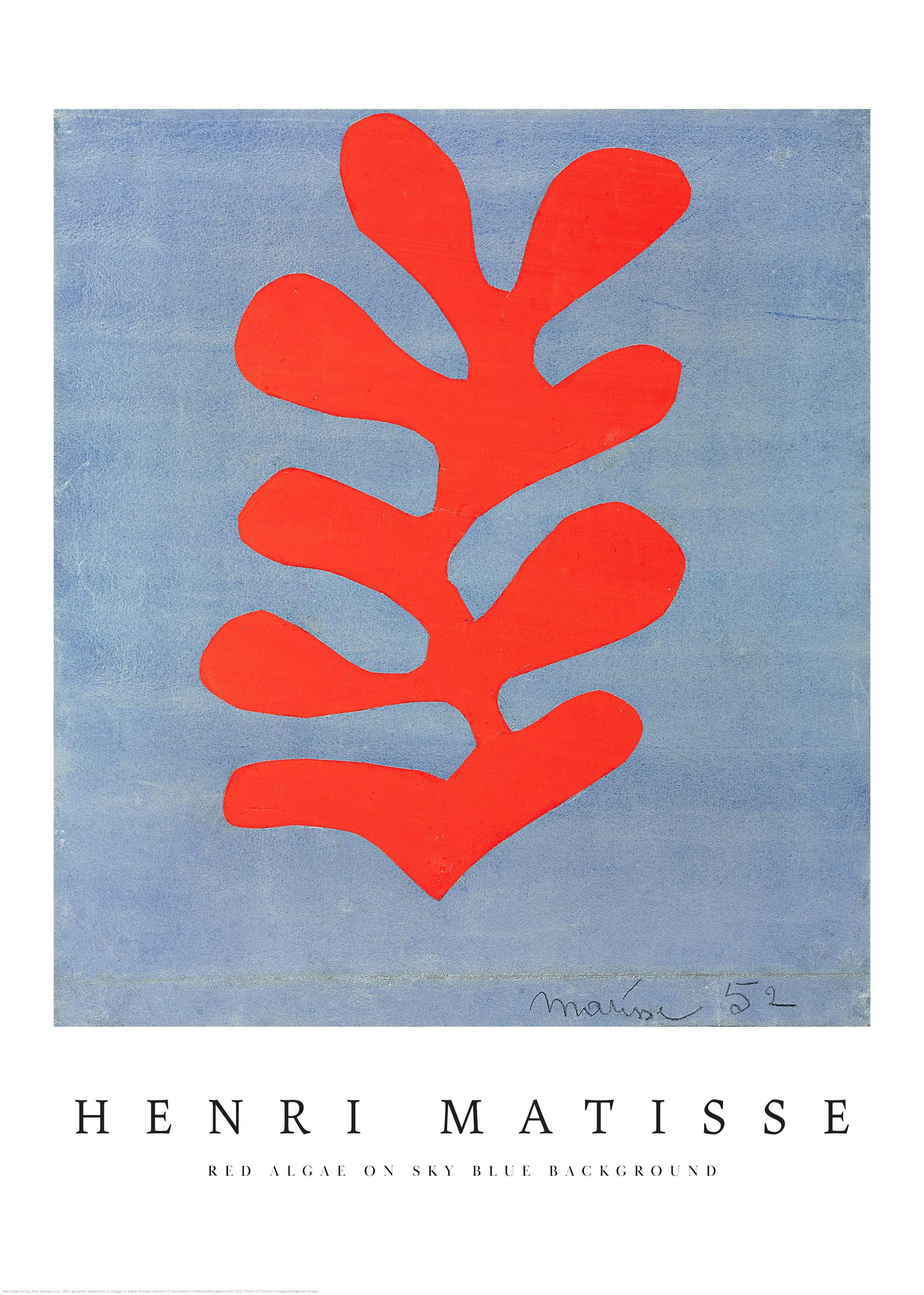 Matisse - Red Algae on Sky Blue Background Affiche 0