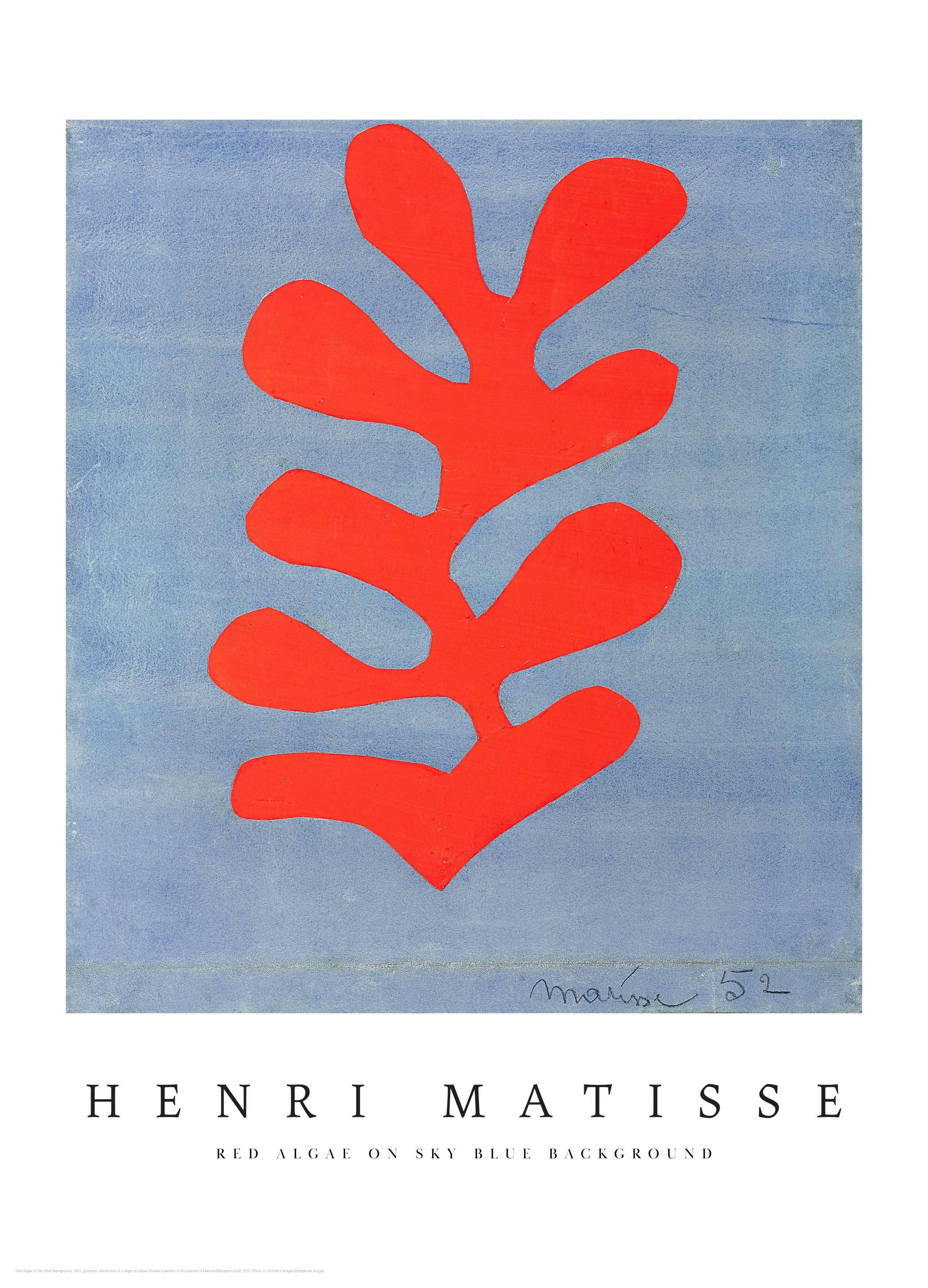 Matisse - Red Algae on Sky Blue Background Poster (50x70 cm) - Matisse posters