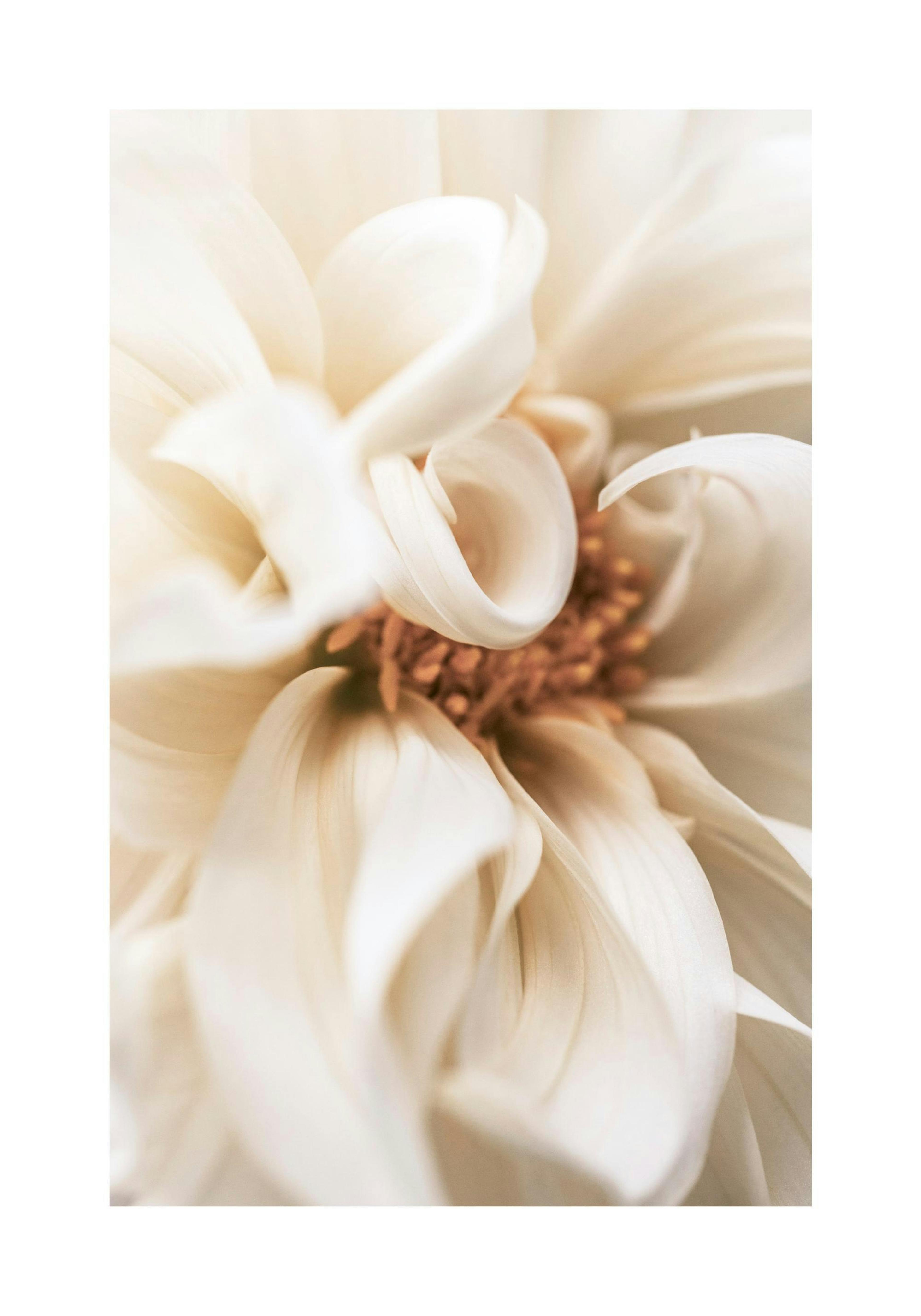 Product image: 1