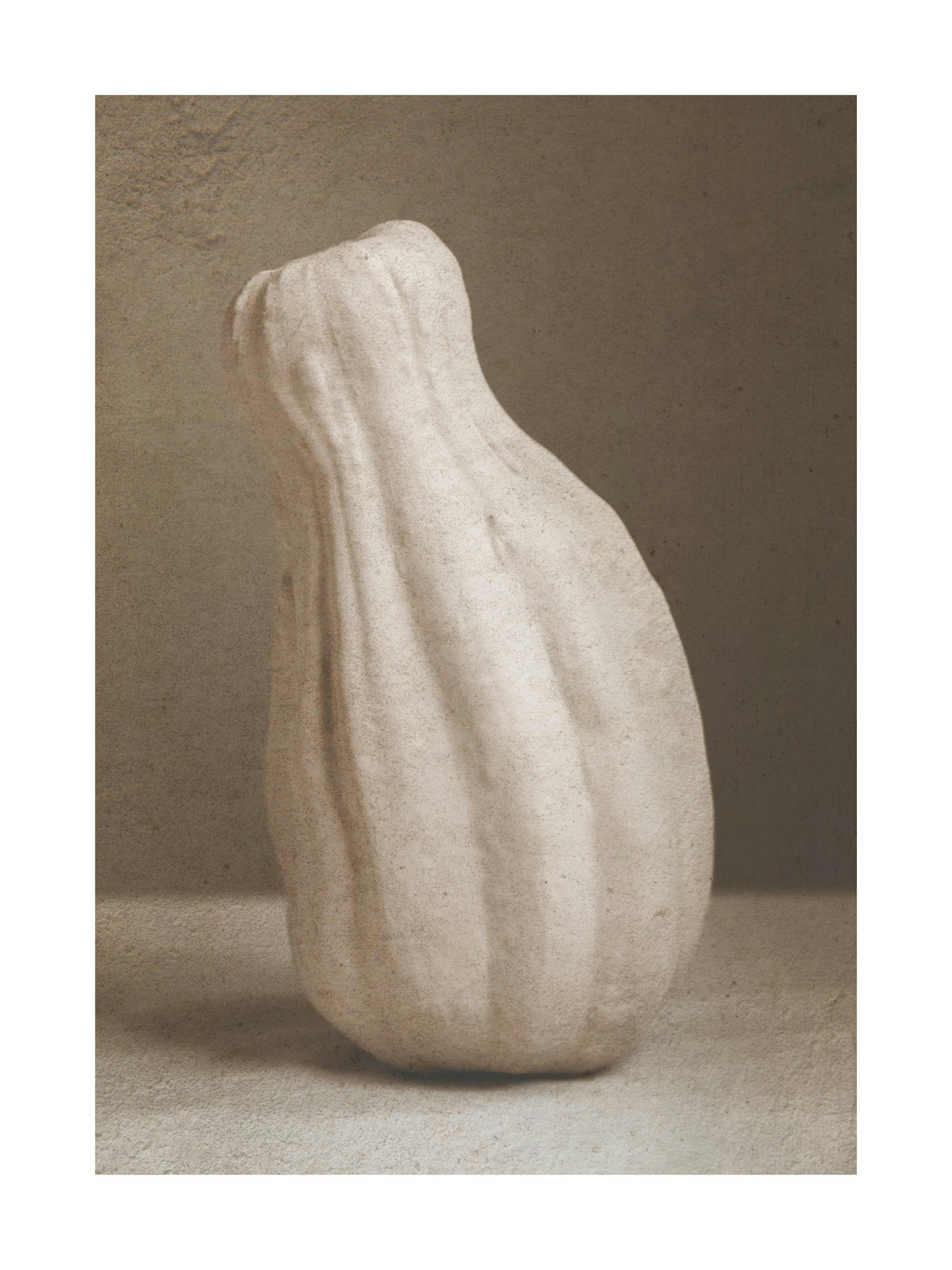 Pumpkin Vase Print