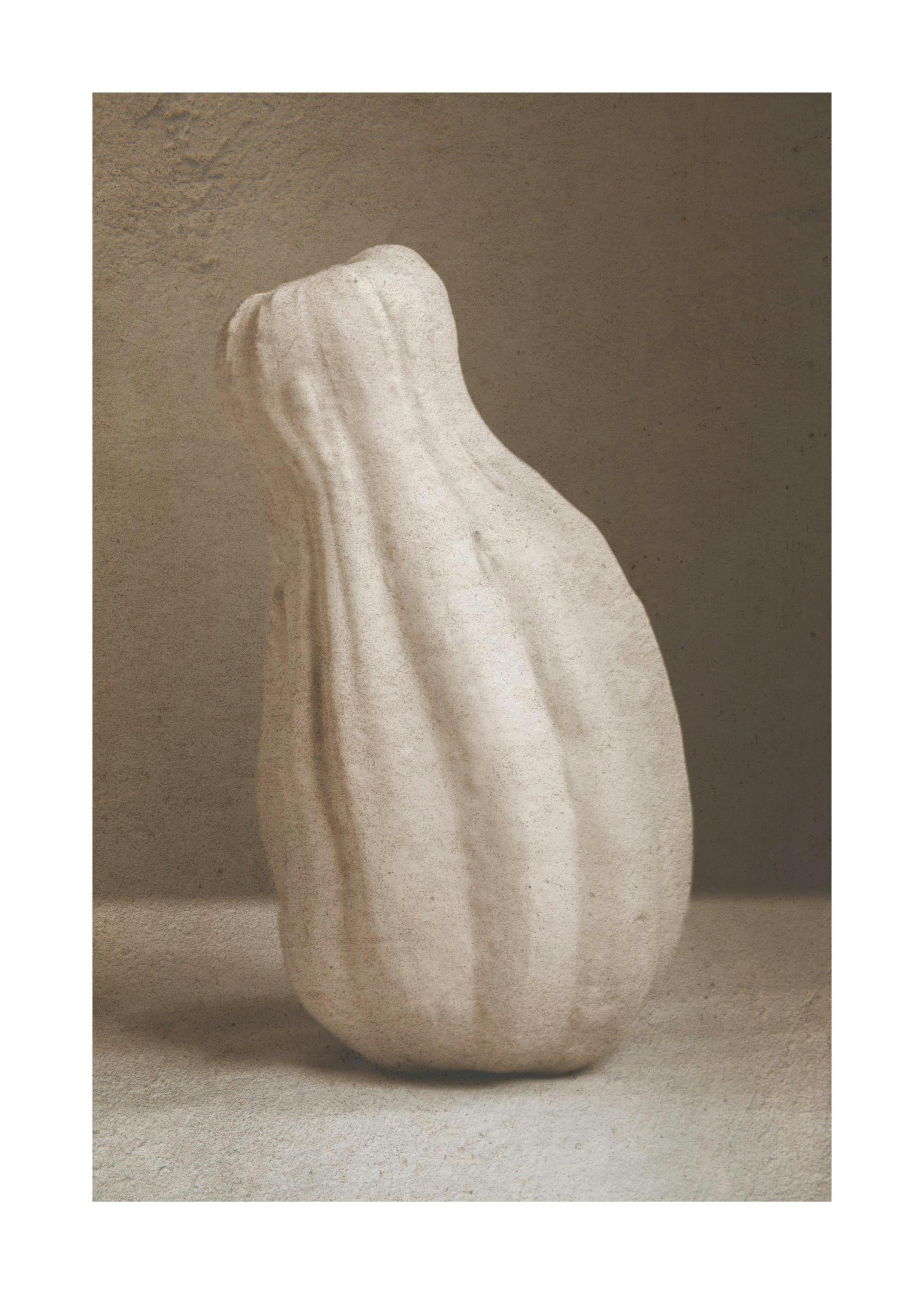 Pumpkin Vase Print 0