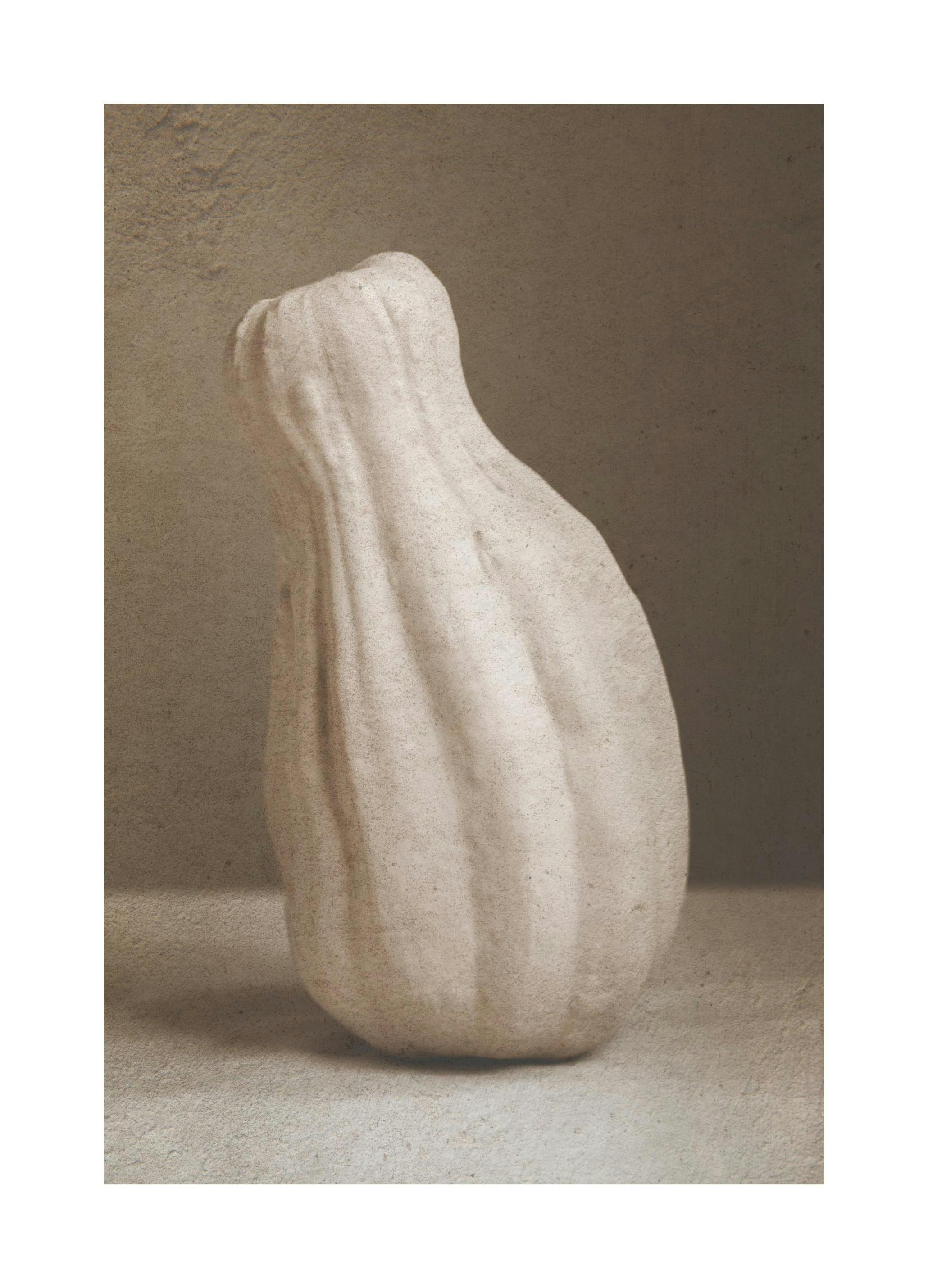 Pumpkin Vase Poster (40x50 cm)