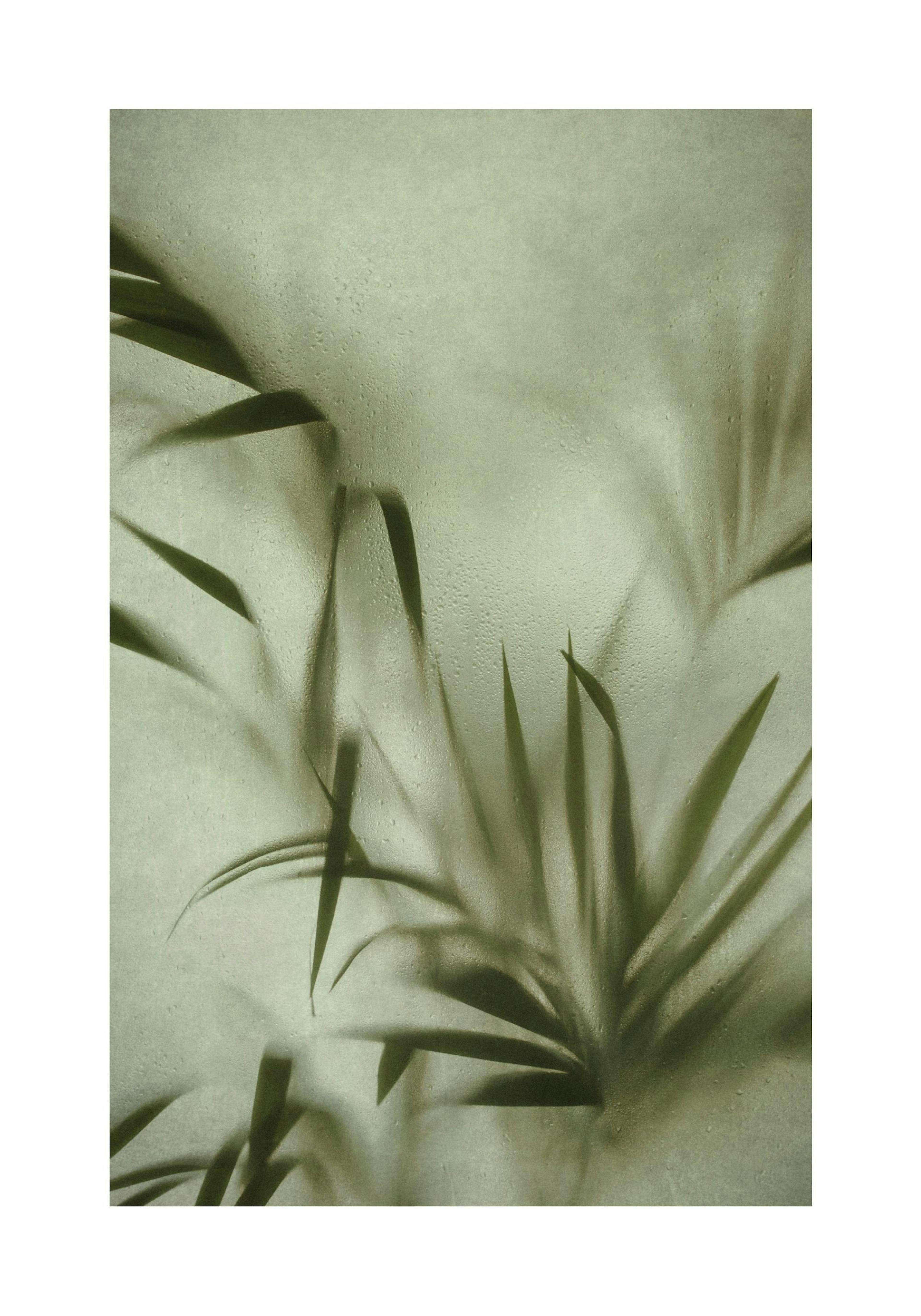 Soft Botanical Print