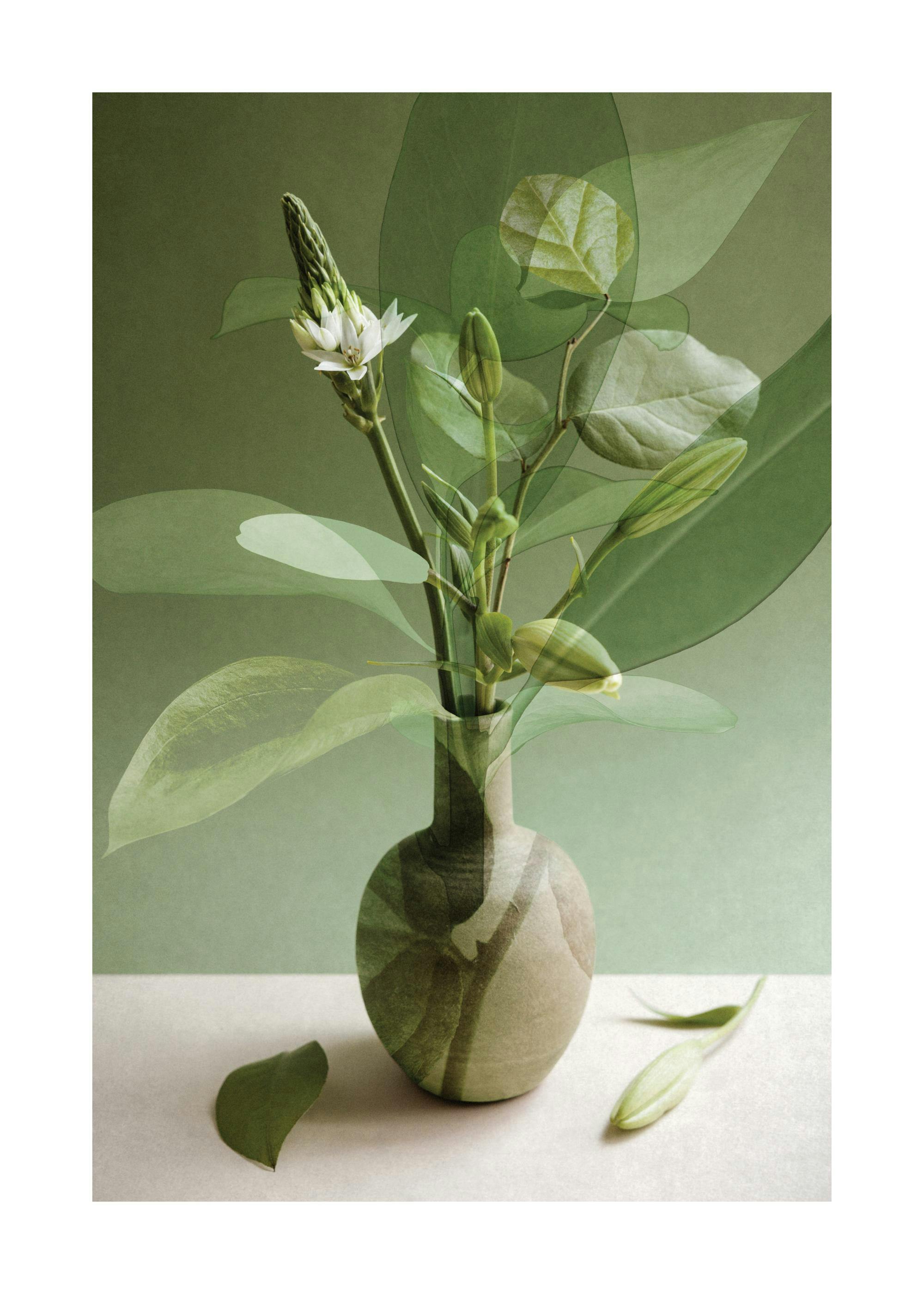 Multiple Botanicals Print 0