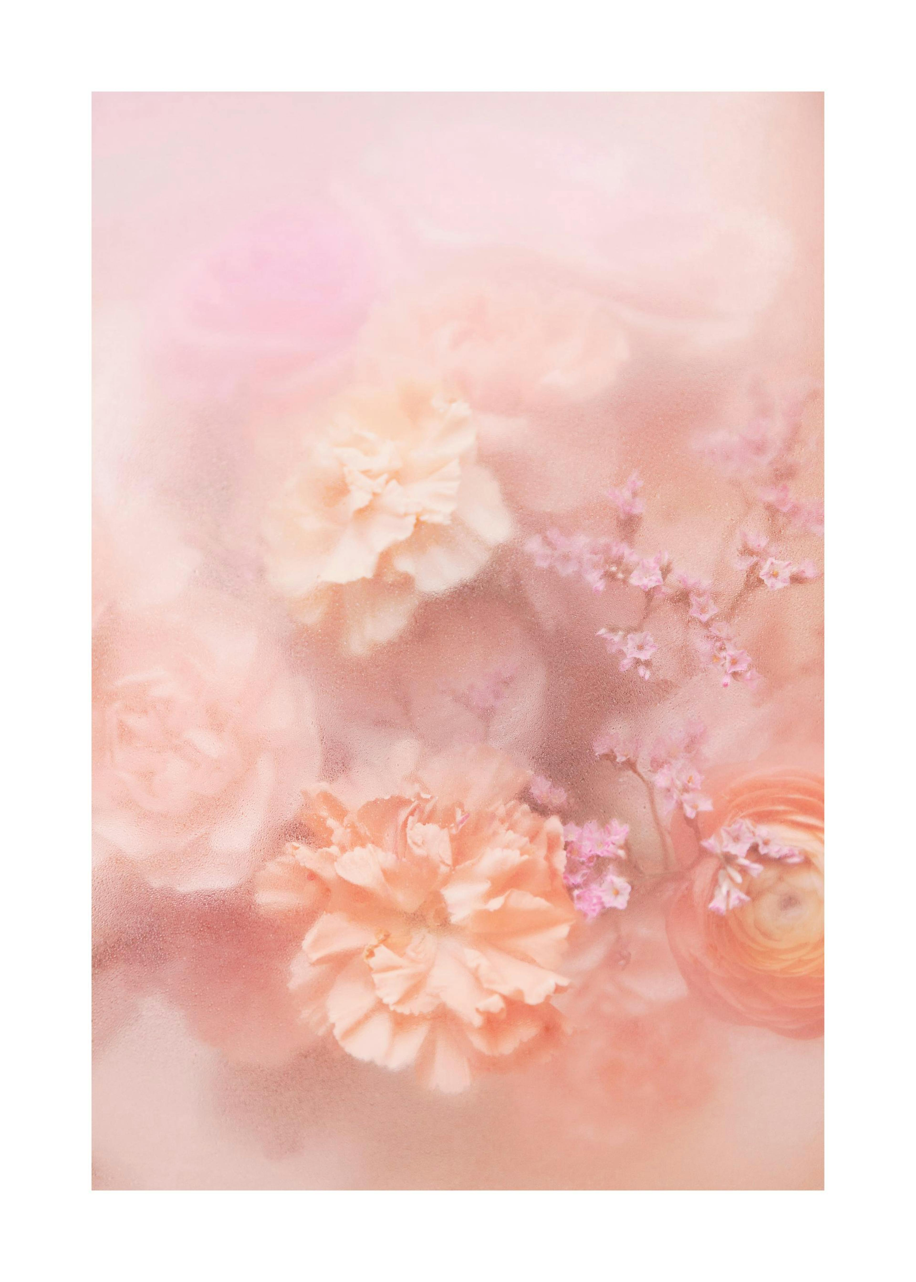 Soft Flowers Print 0
