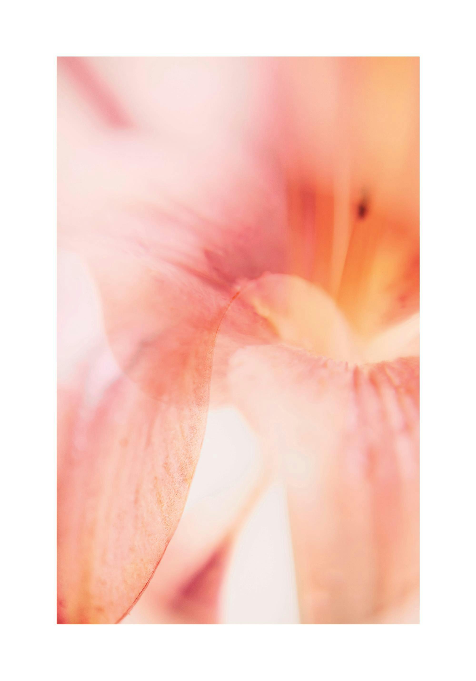 Samsung S21 Ultra Macro Mode Wide Angle Fisheye Lens For Galaxy