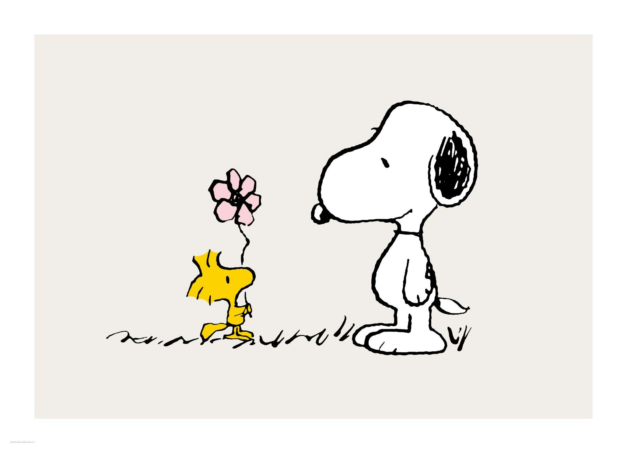 Prints - Snoopy and Woodstock Print (30x40 cm) - Snoopy