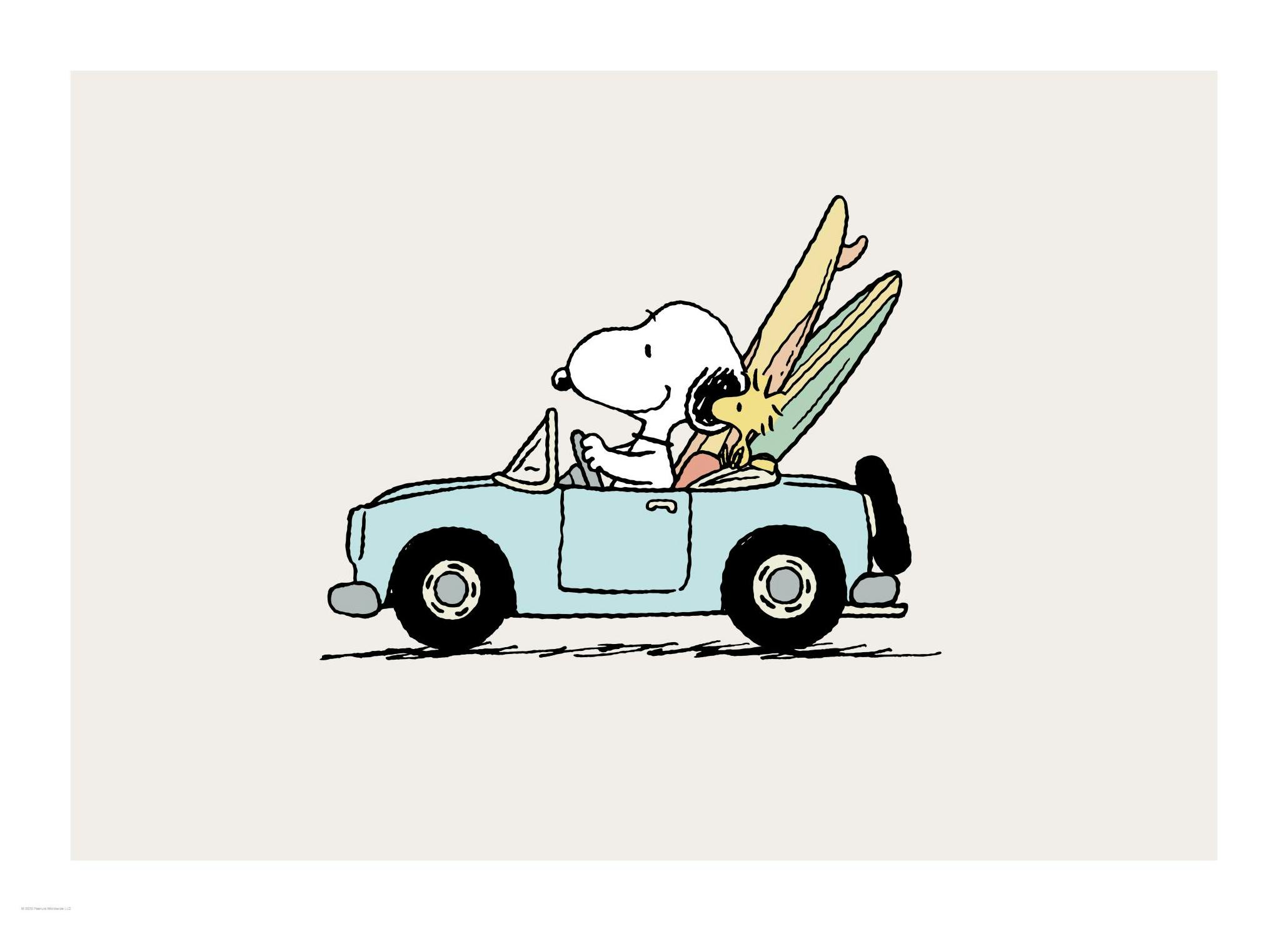 Snoopy Driving Poster (50x70 cm)- Snoopy