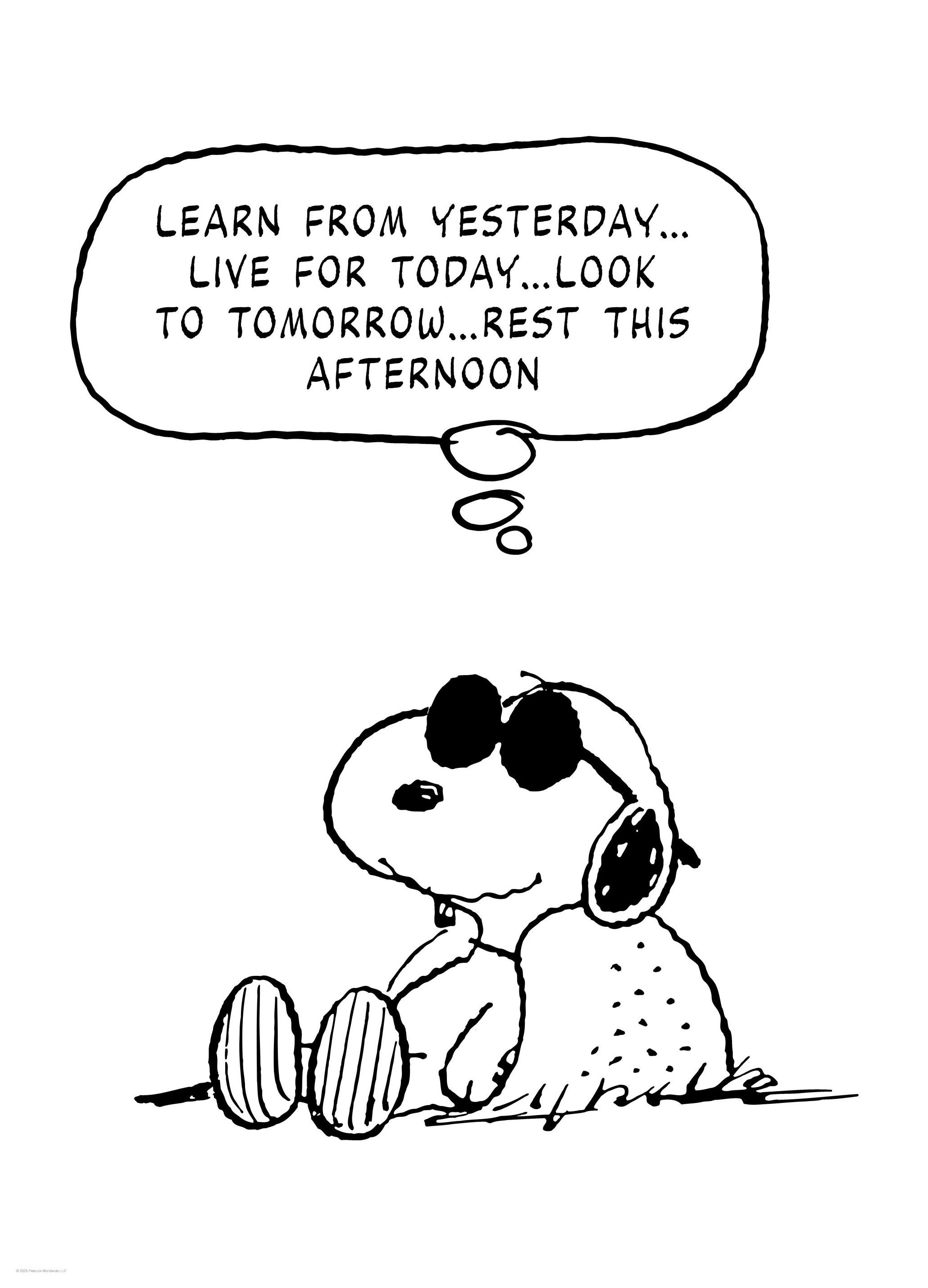 Prints - Joe Cool Resting Print (30x40 cm) - Snoopy