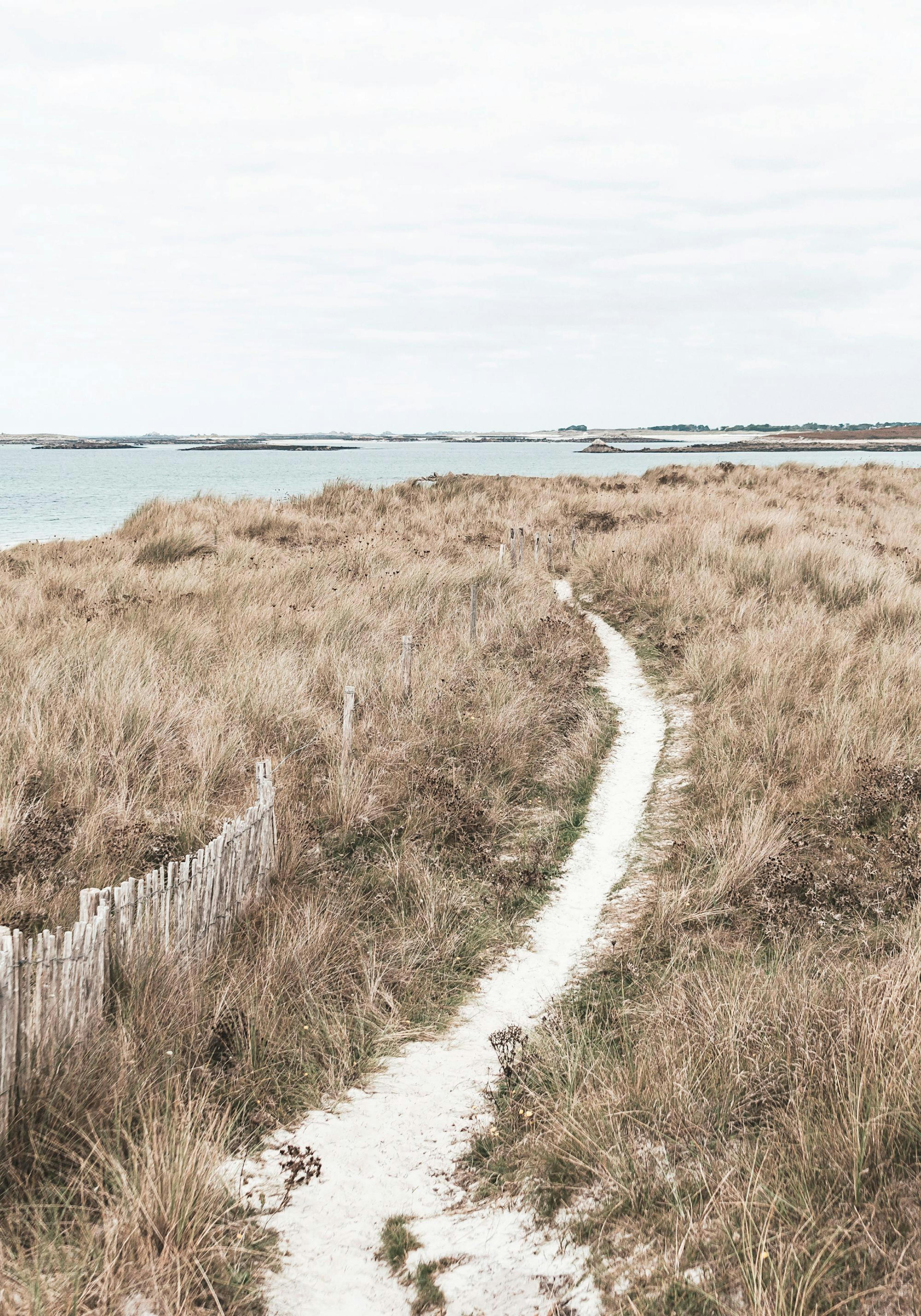 Pathway to the Sea Print