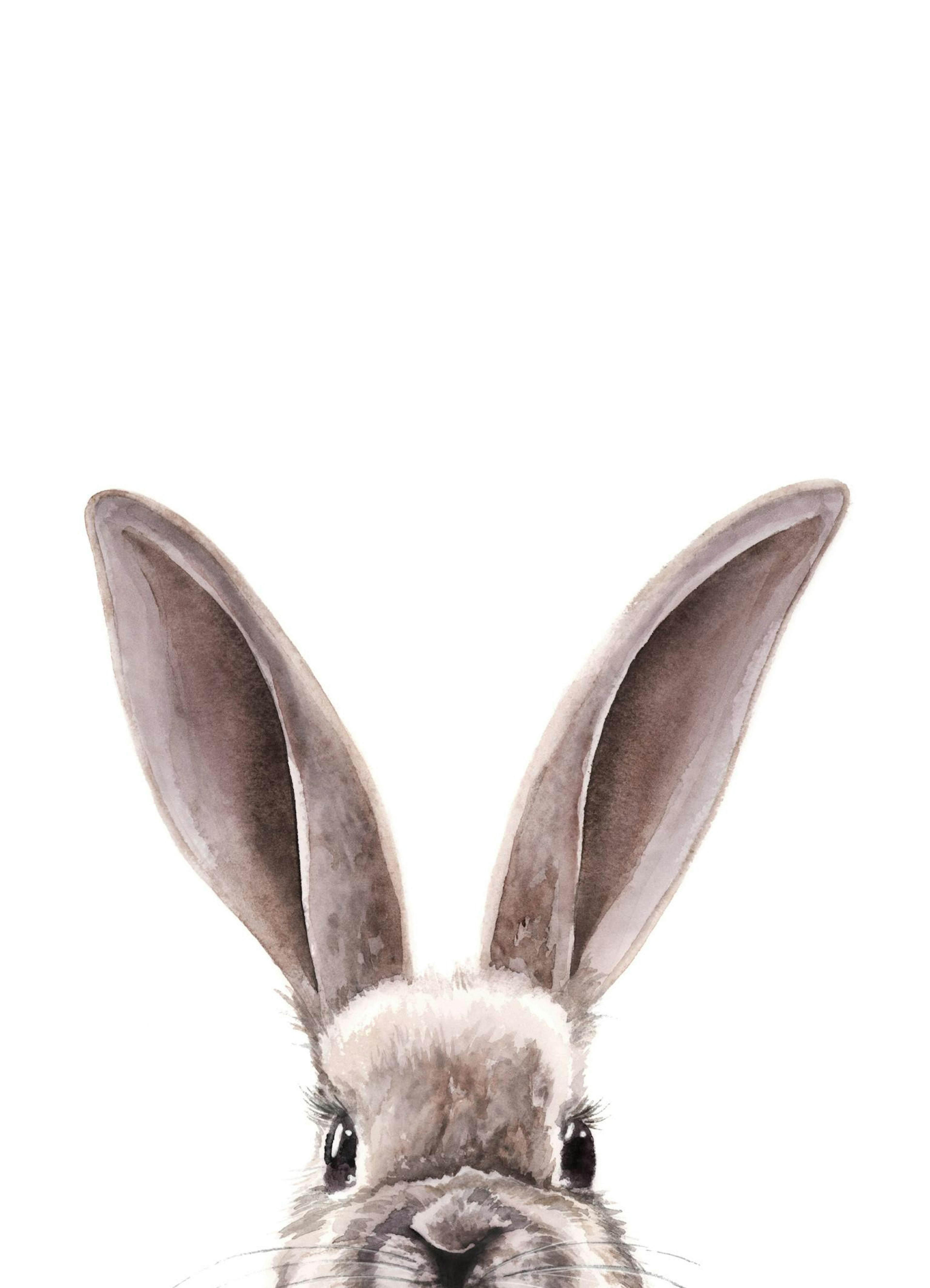 Watercolor Bunny Print