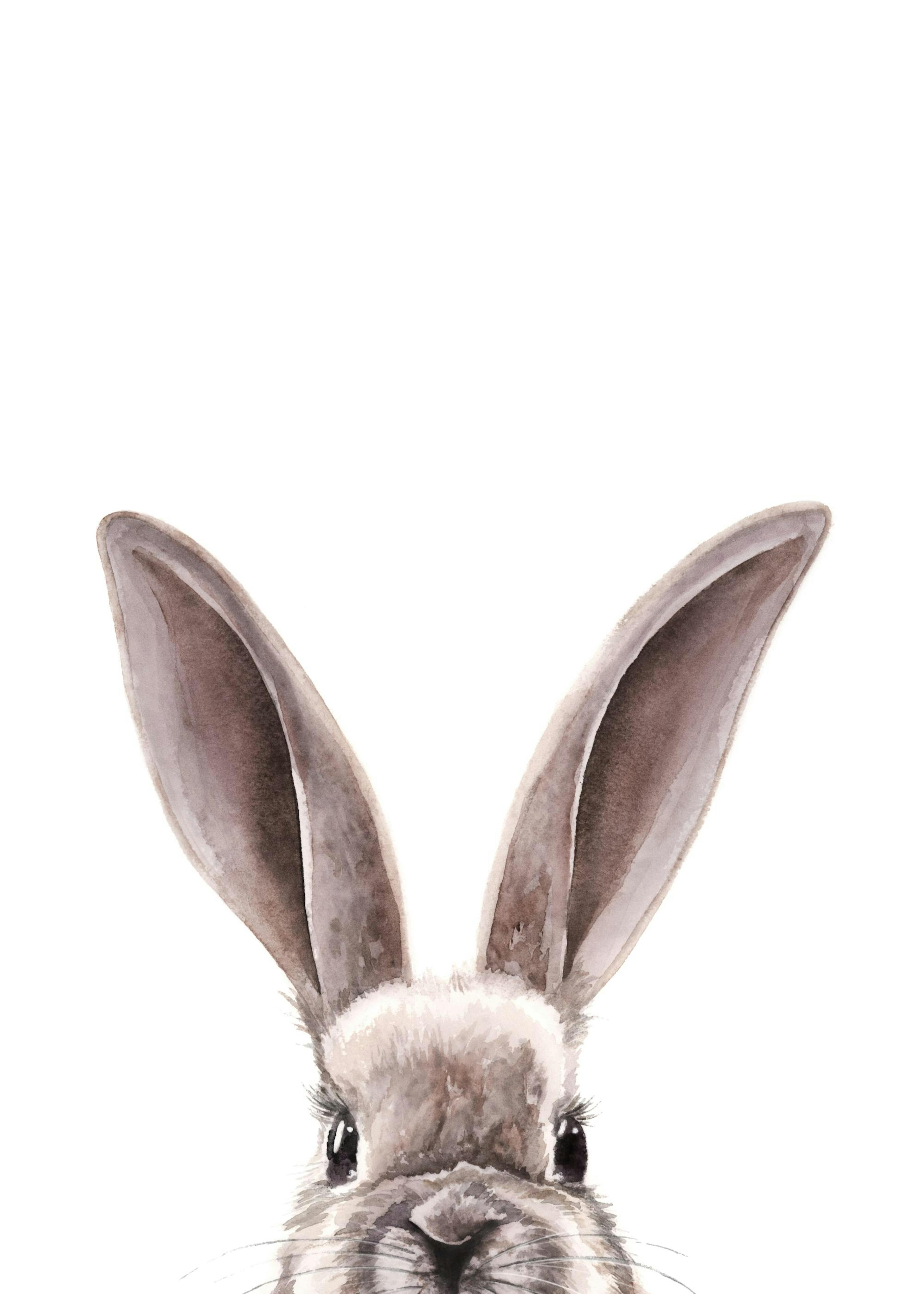 Watercolor Bunny Juliste 0