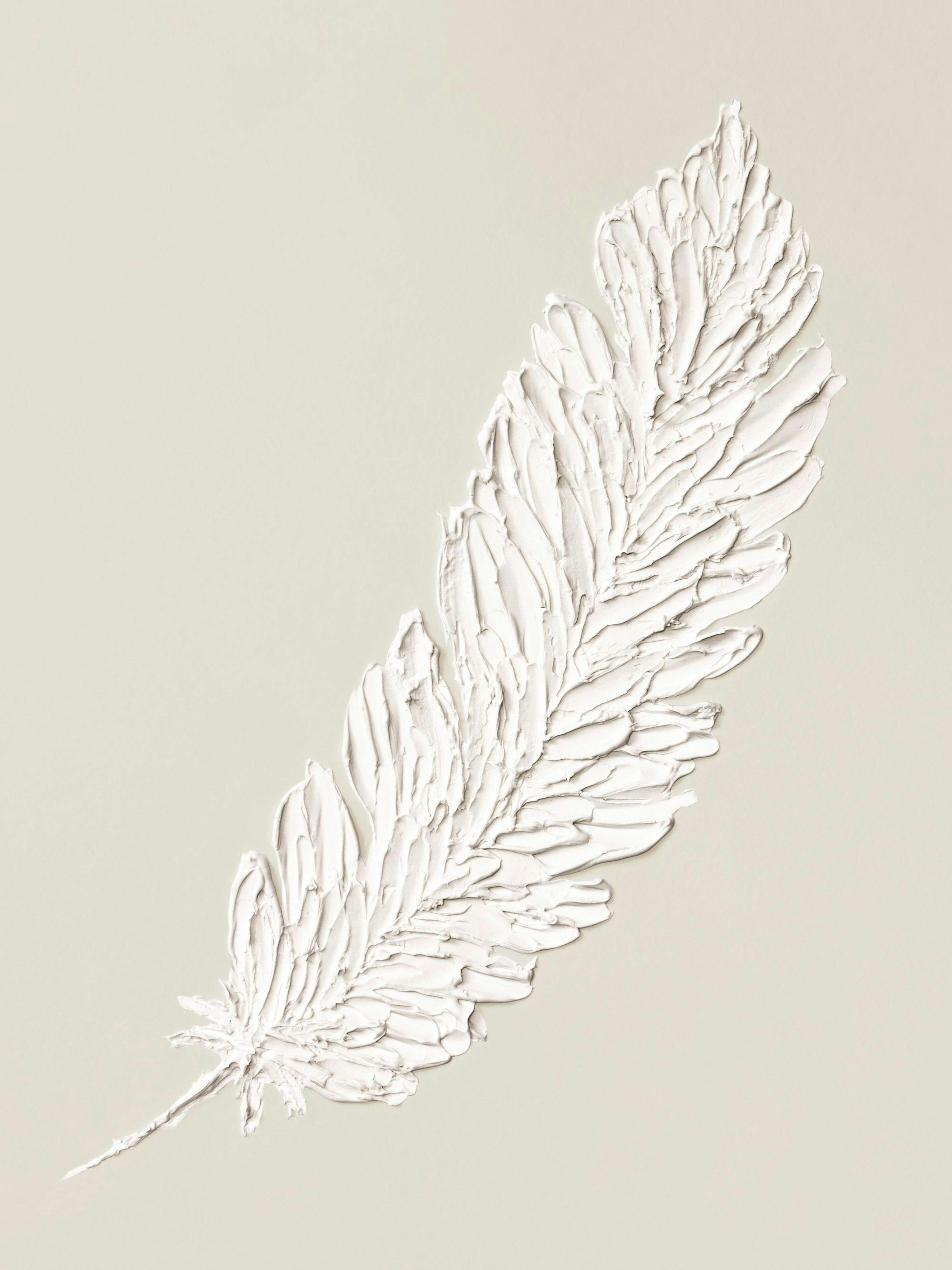 Feather Texture Print