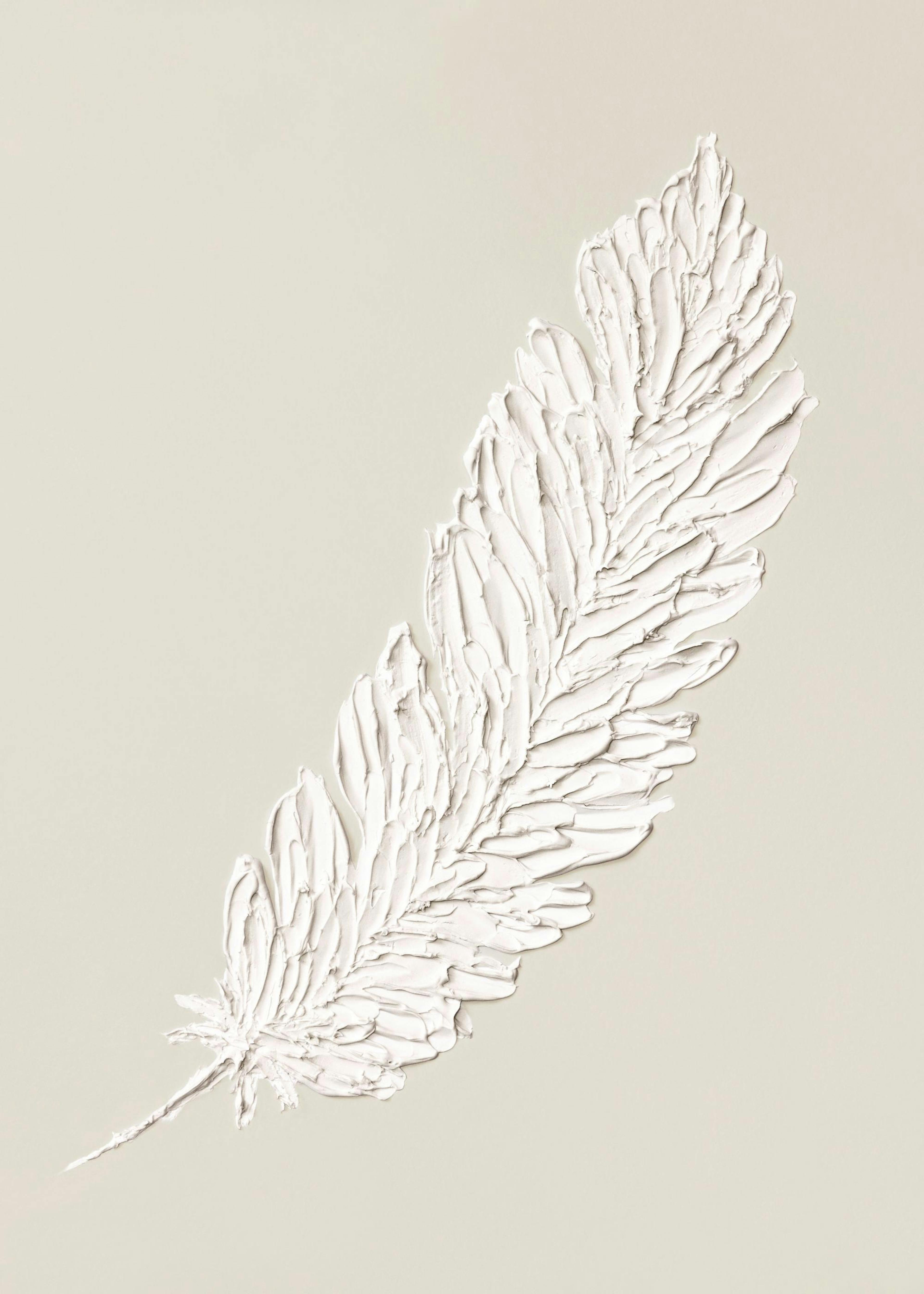 Feather Texture Poster 0