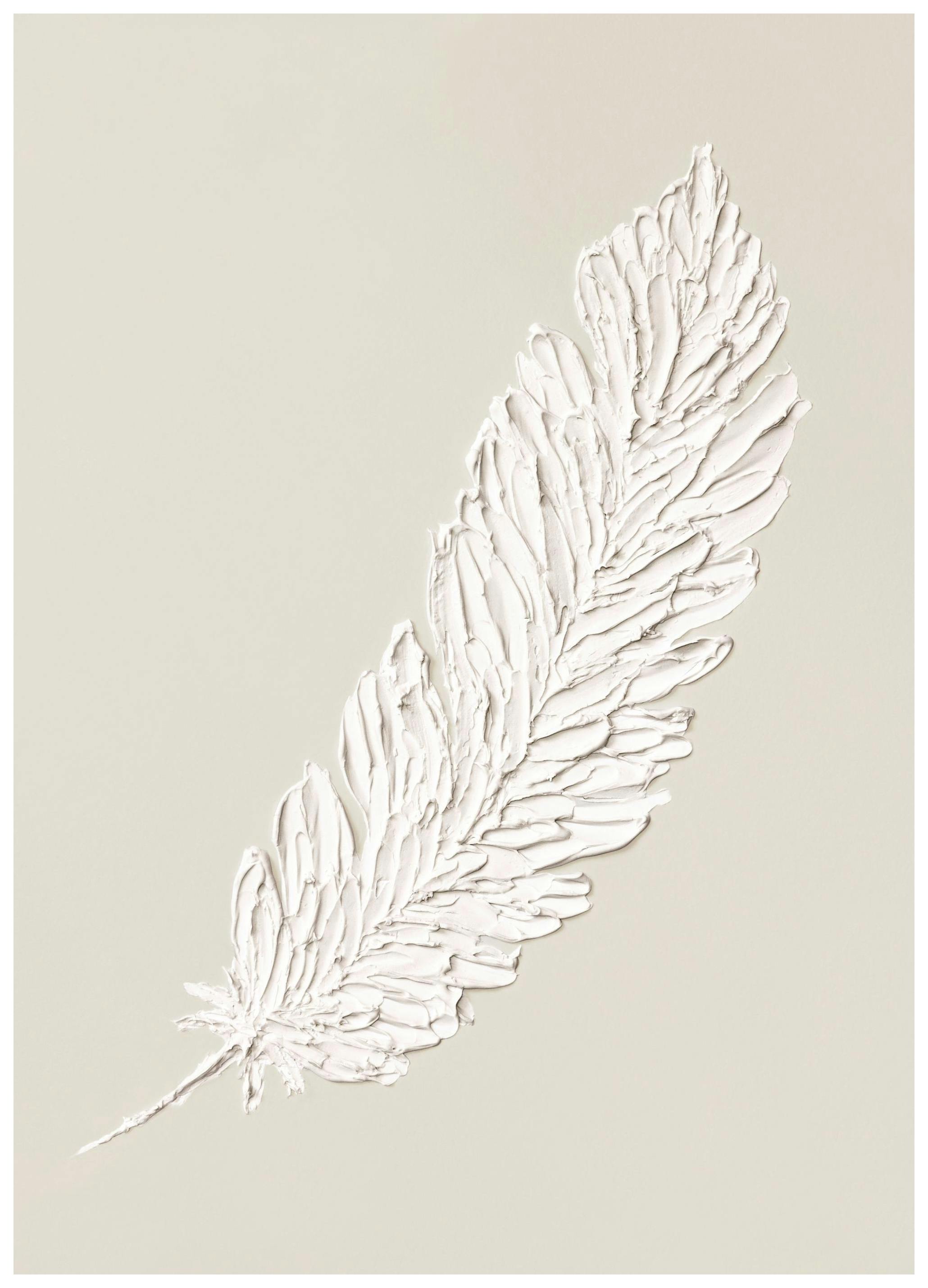 Feather Texture Plakat (30x40 cm)- Obrazy