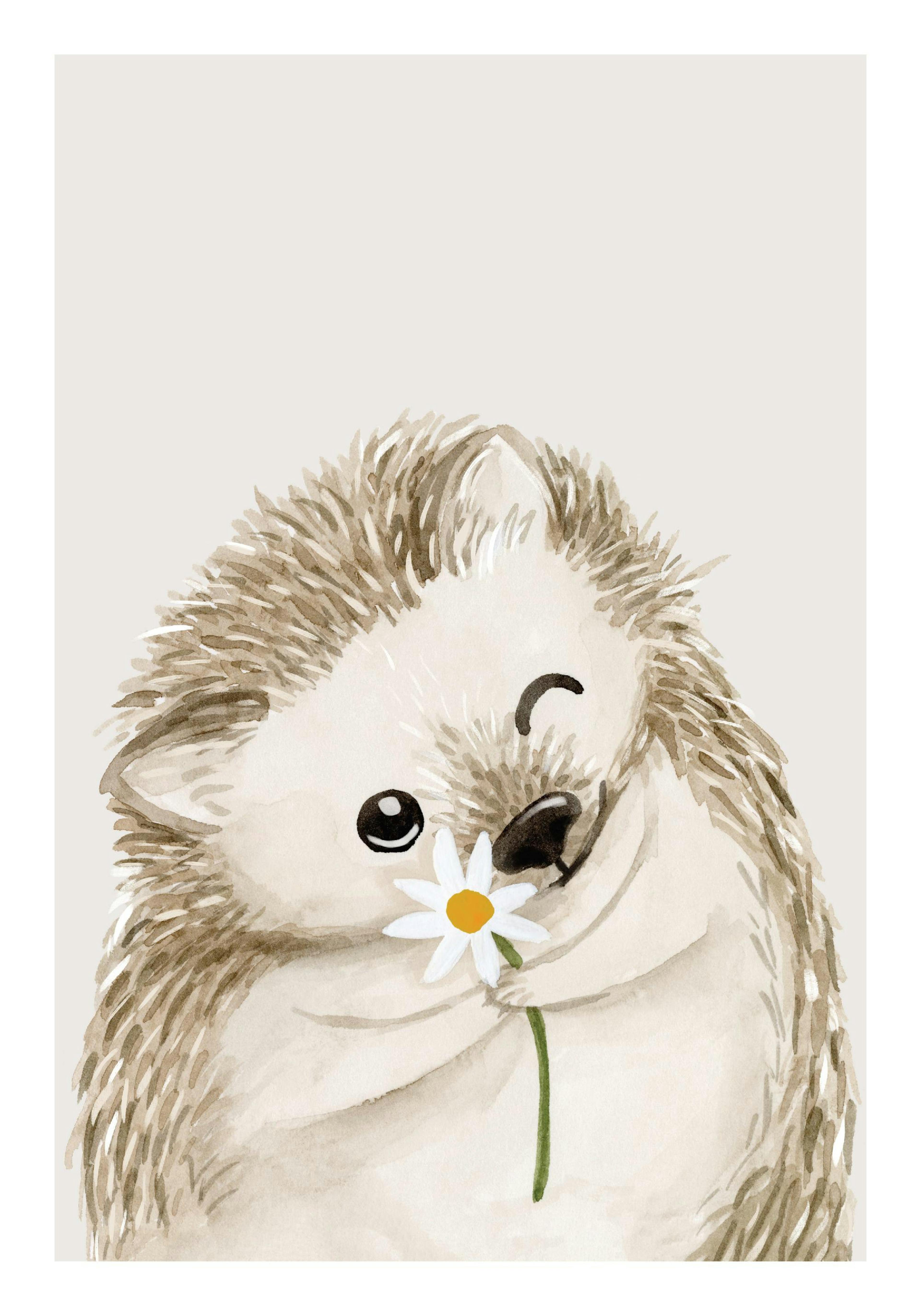 Cute Hedgehog Poster