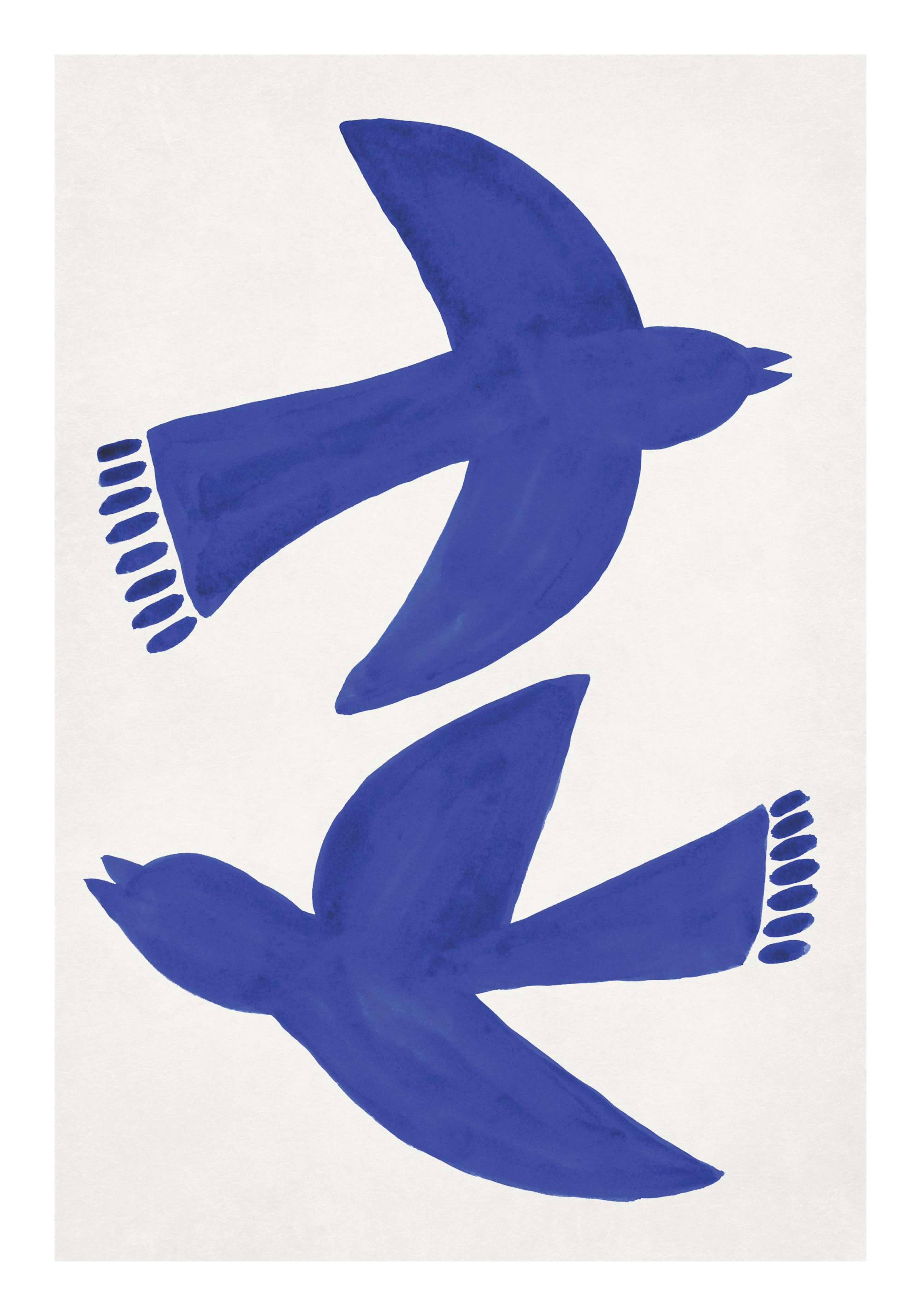 Bluebirds Fly Poster
