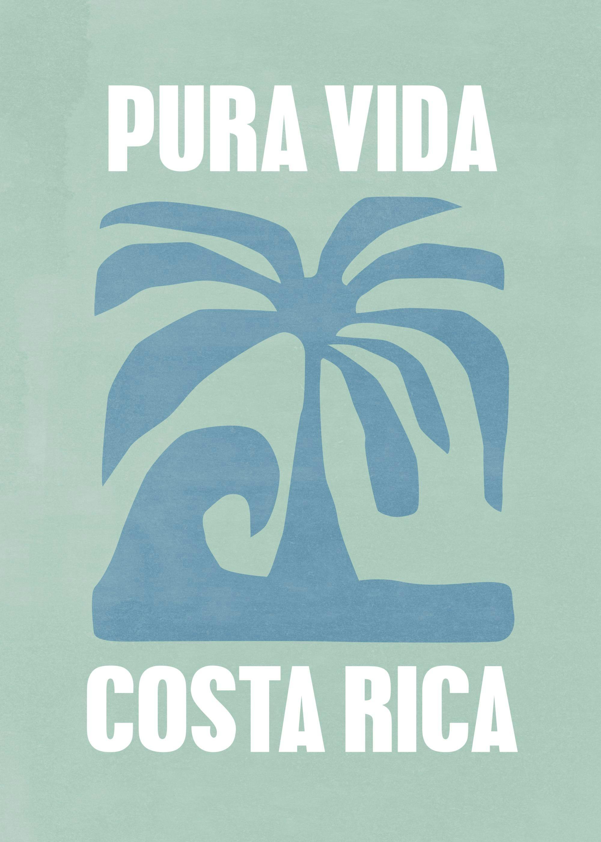 Graphic Costa Rica Print 0