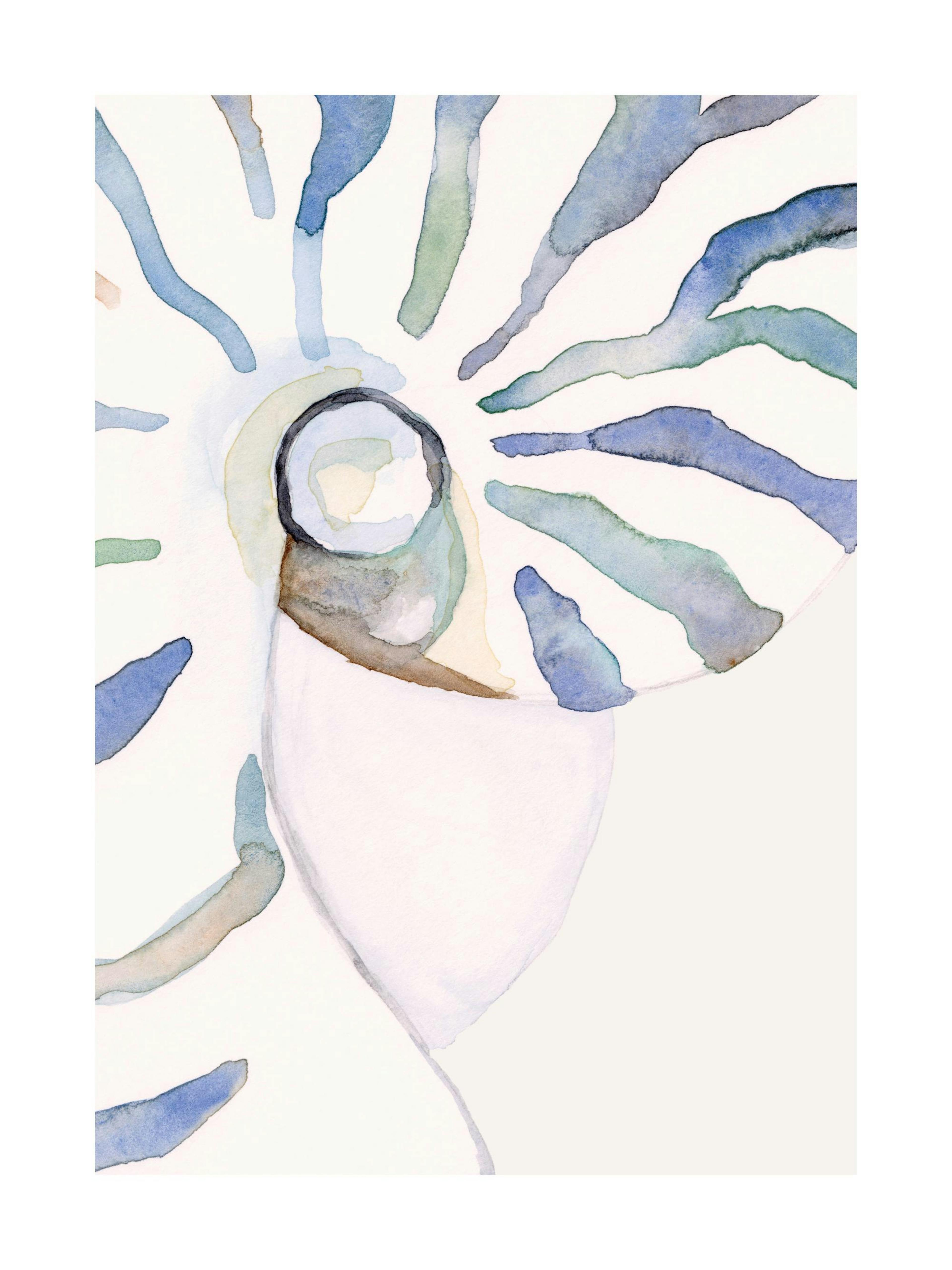 Abstract Seashell Print