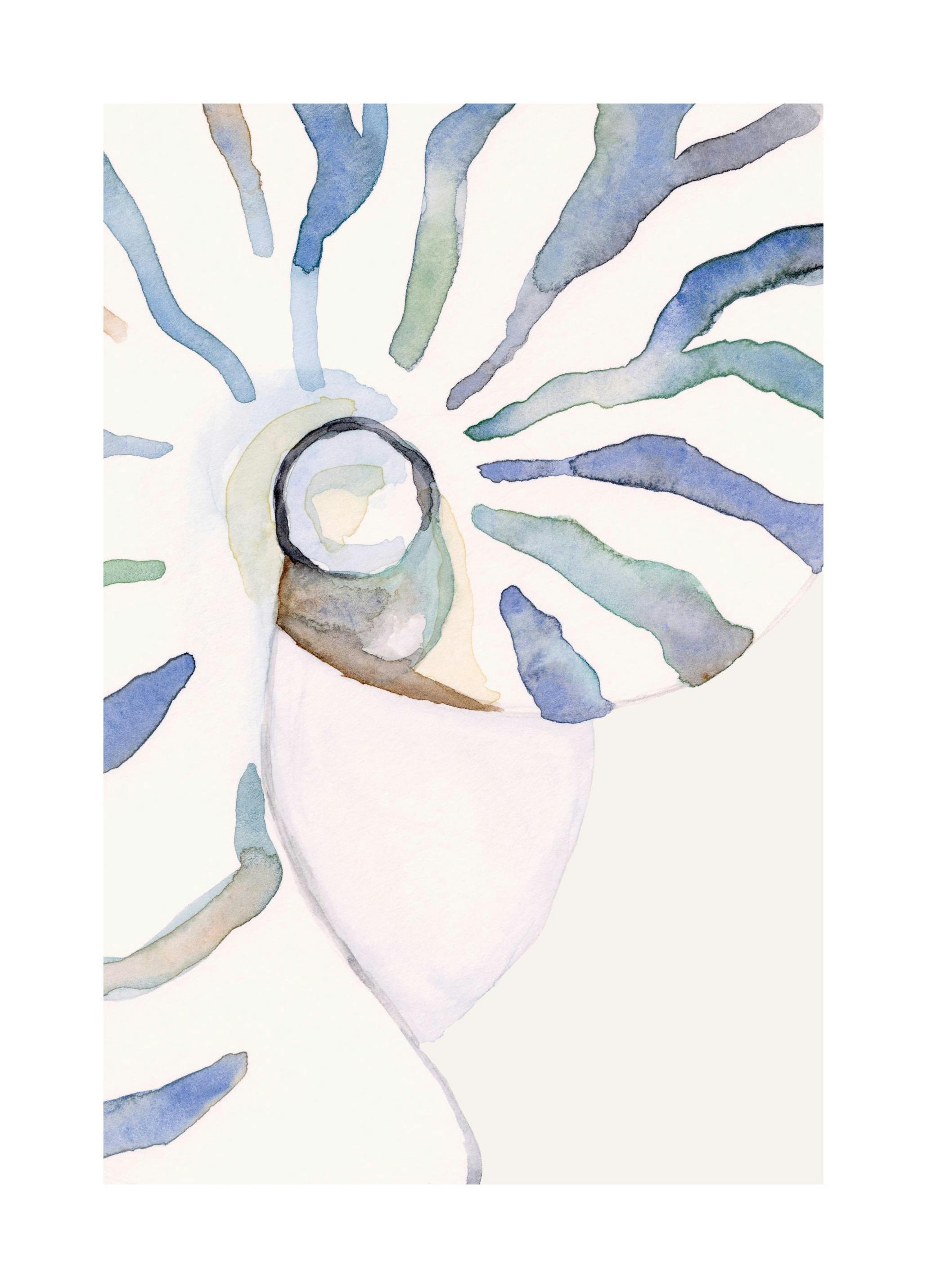 Abstract Seashell Poster (50x70 cm) -  Aquarelle