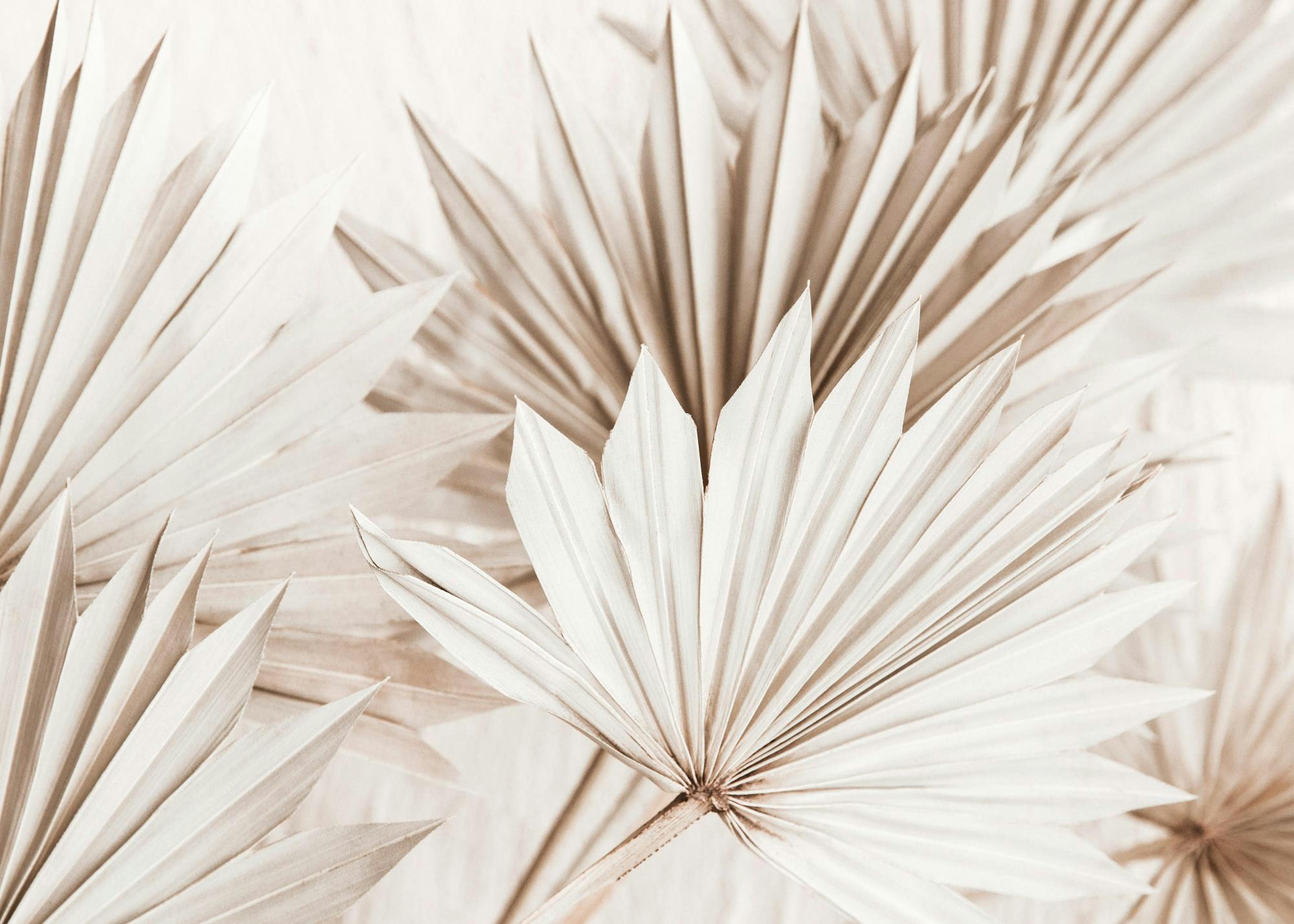 Beige Palm Leaves Print 0