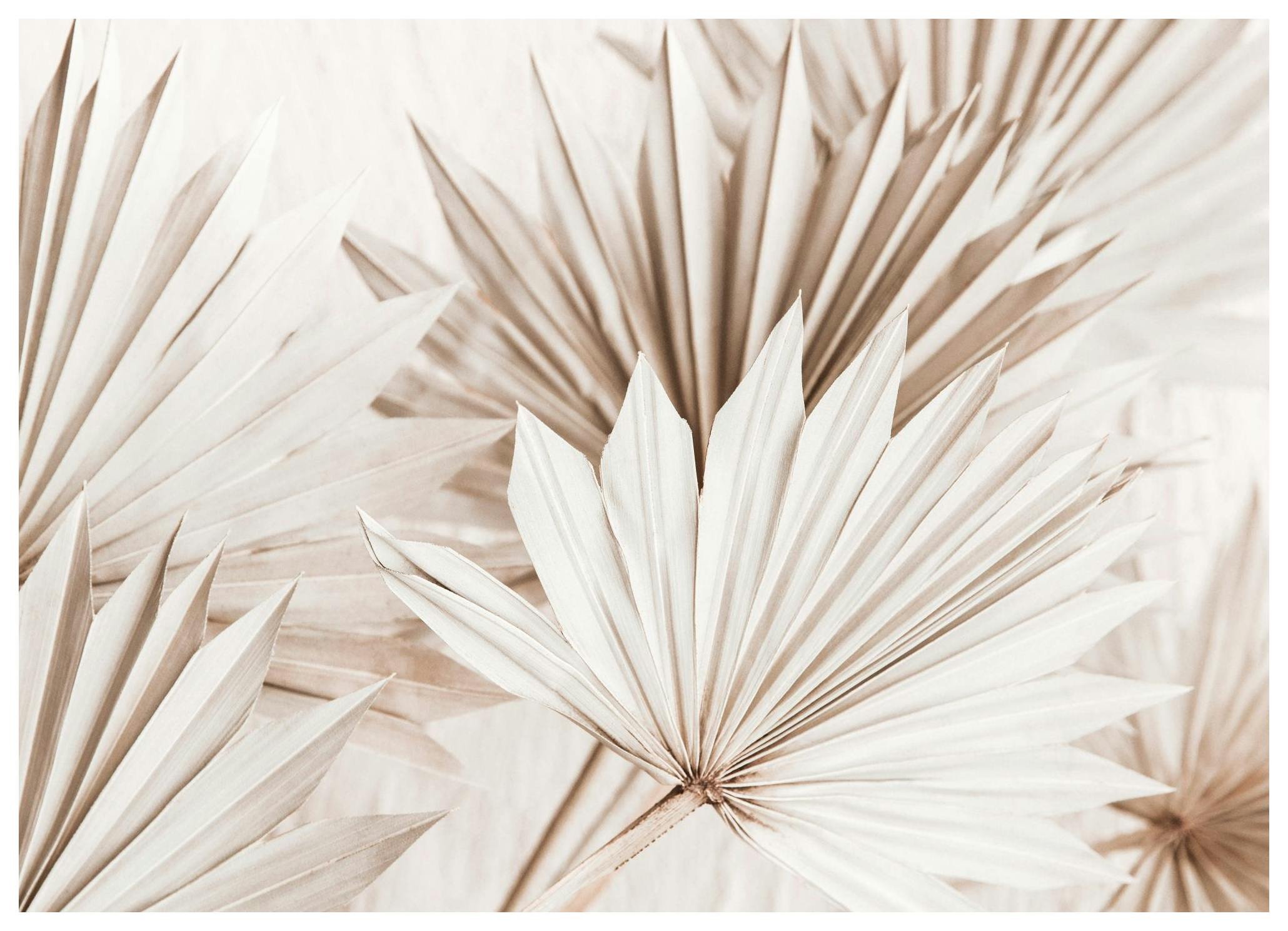 Beige Palm Leaves Poster (70x100 cm) -  Poster mit Palmenmotiven