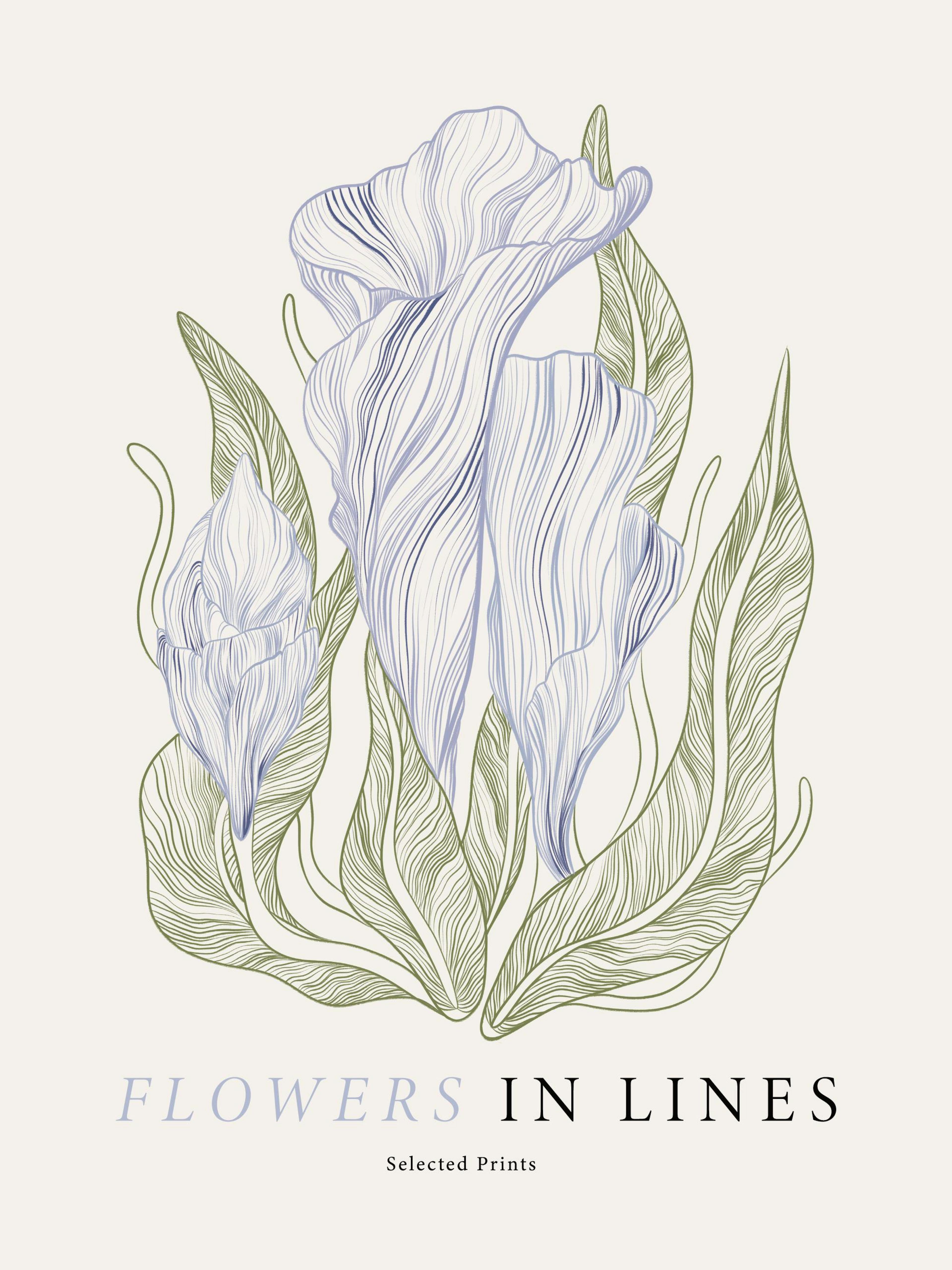 Flowers in Lines No1 Print