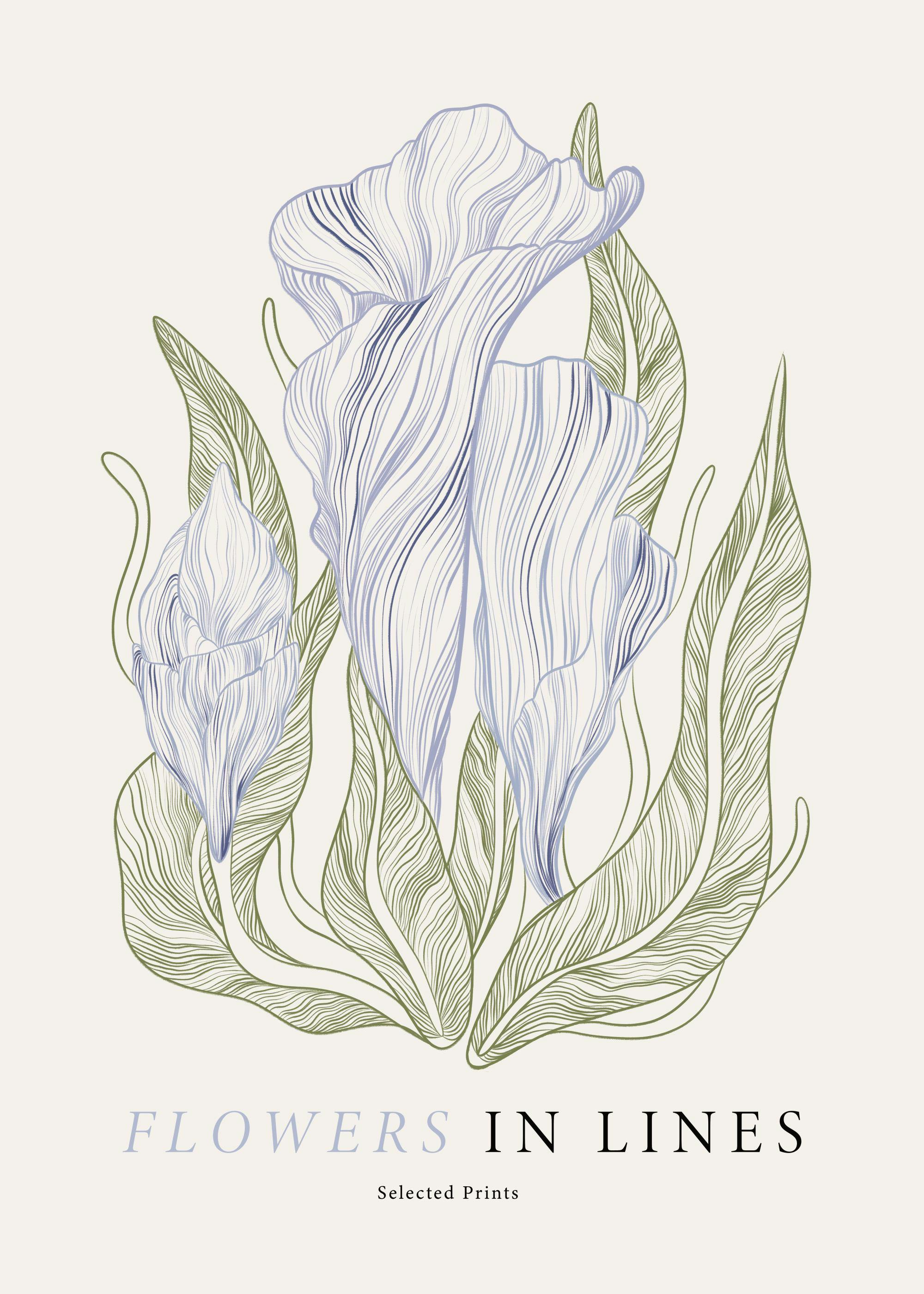 Flowers in Lines No1 Print 0