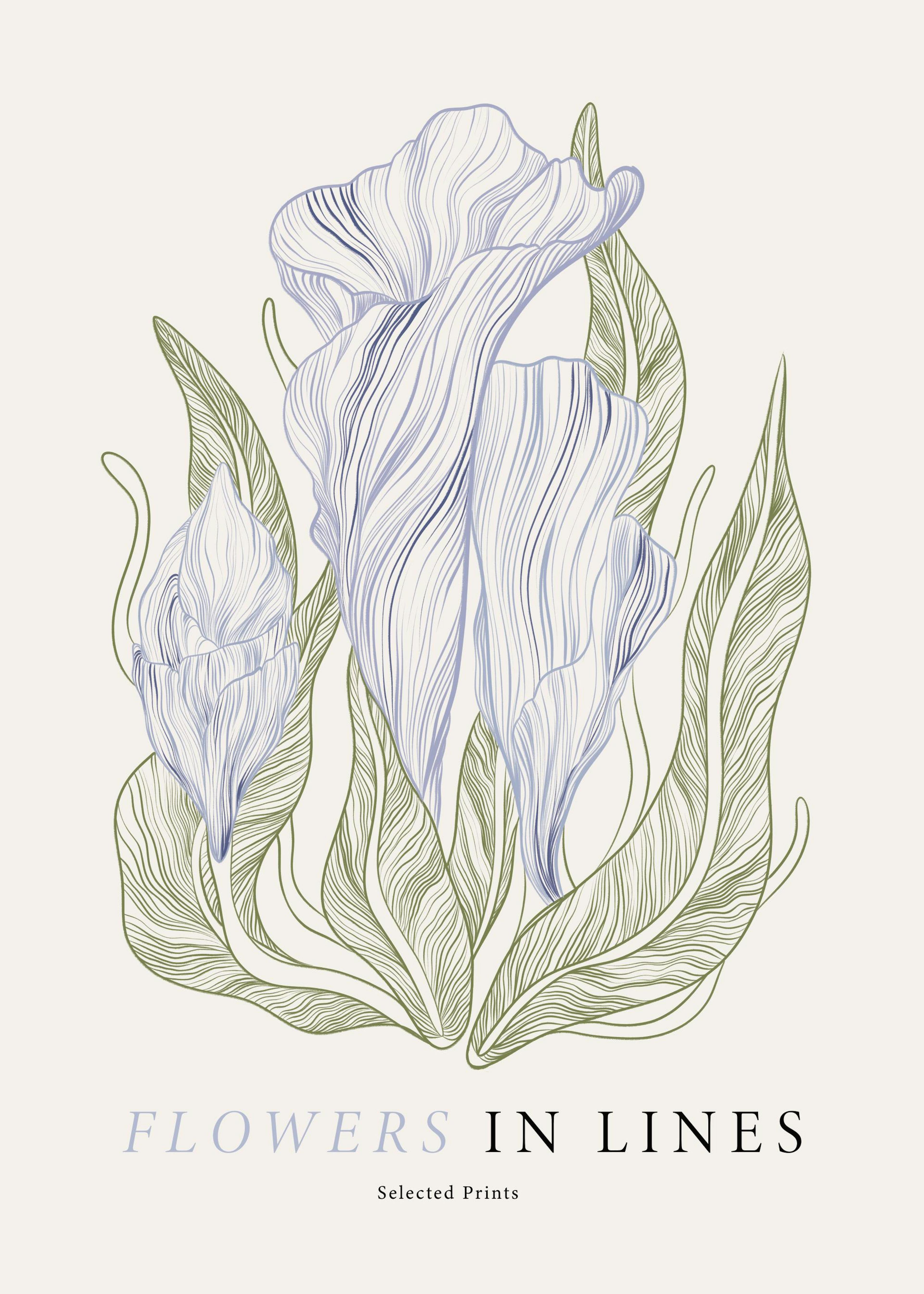 Flowers in Lines No1 Print 0