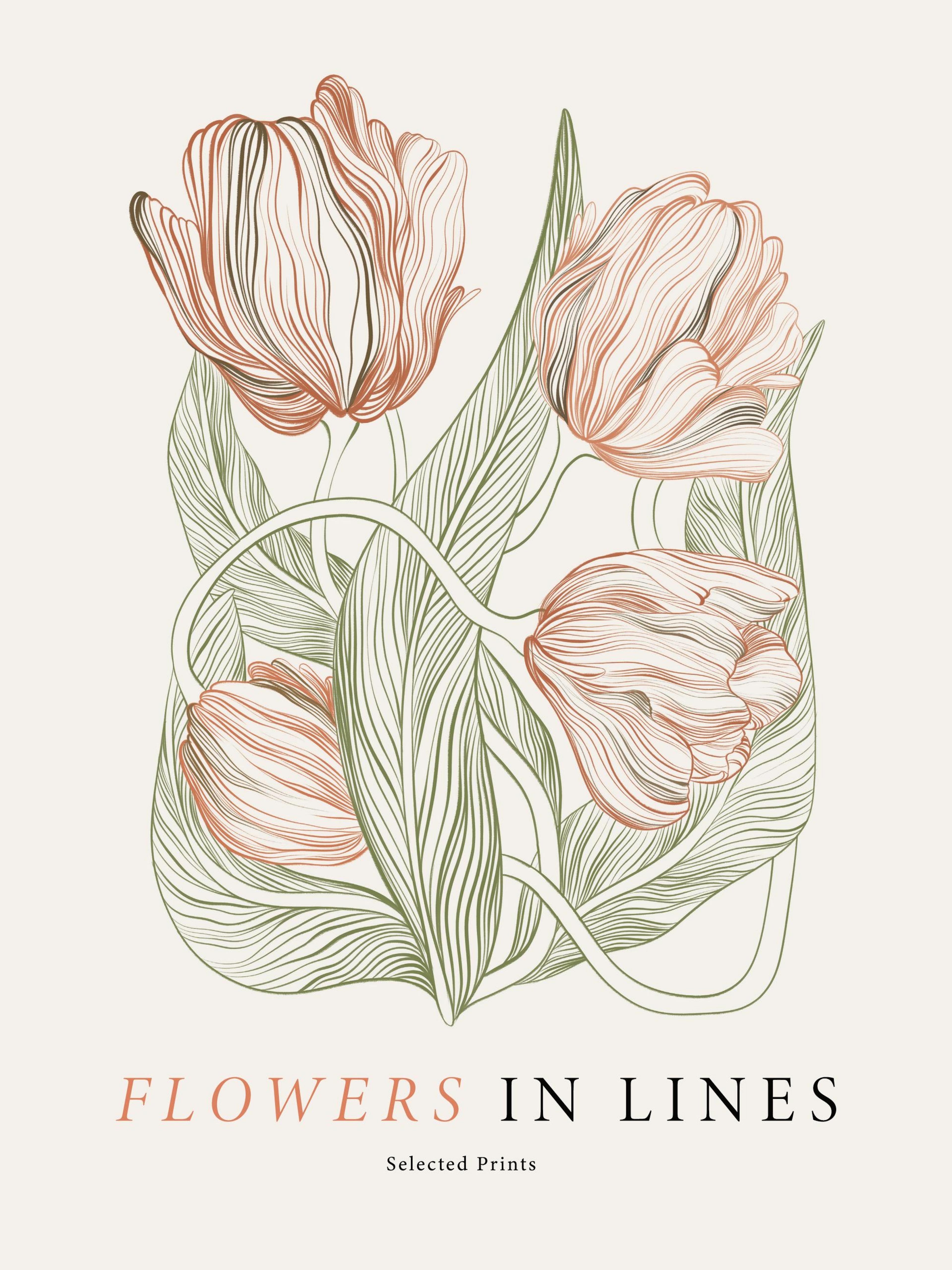Flowers in Lines No2 Print 0