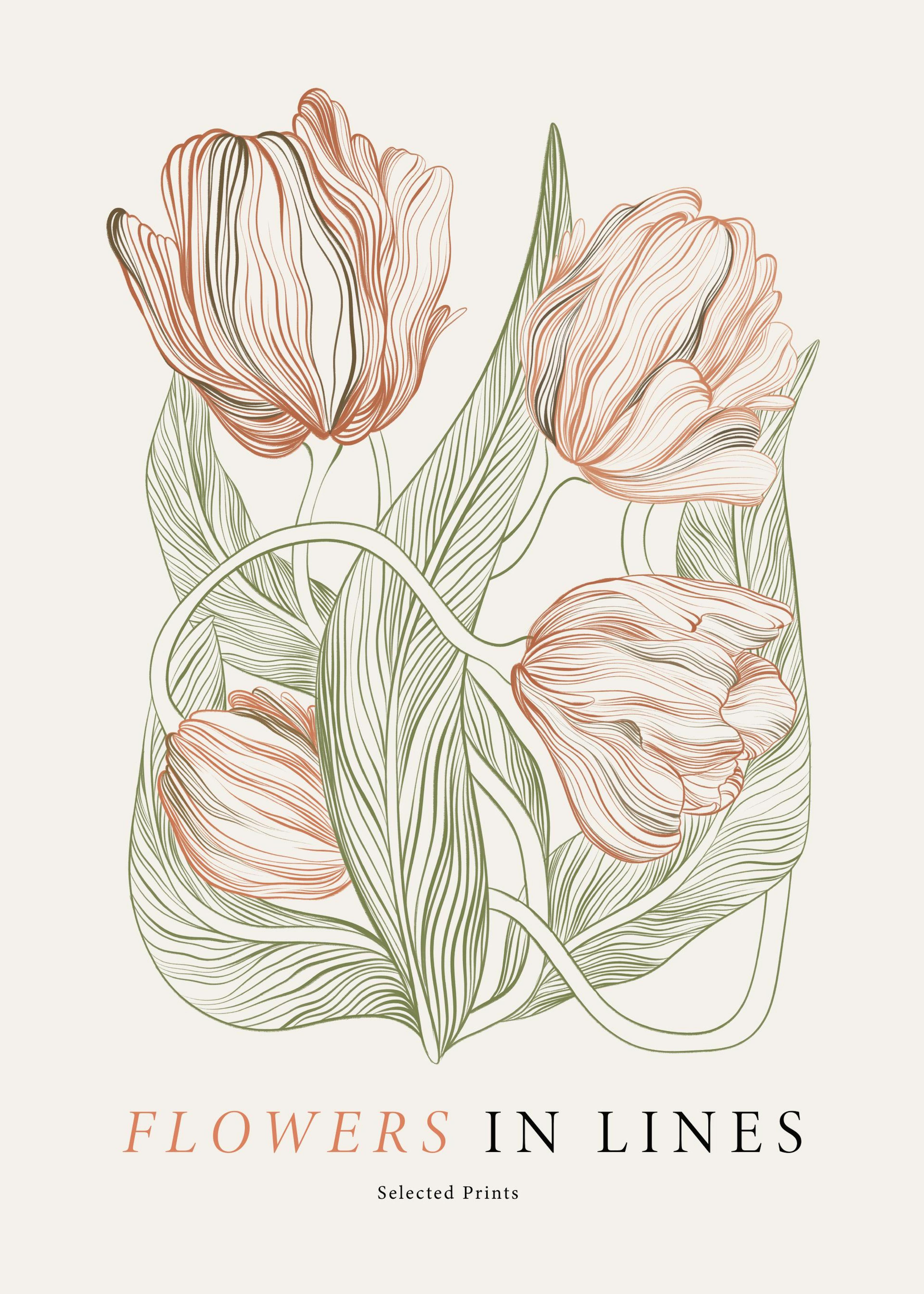 Flowers in Lines No2 Print 0