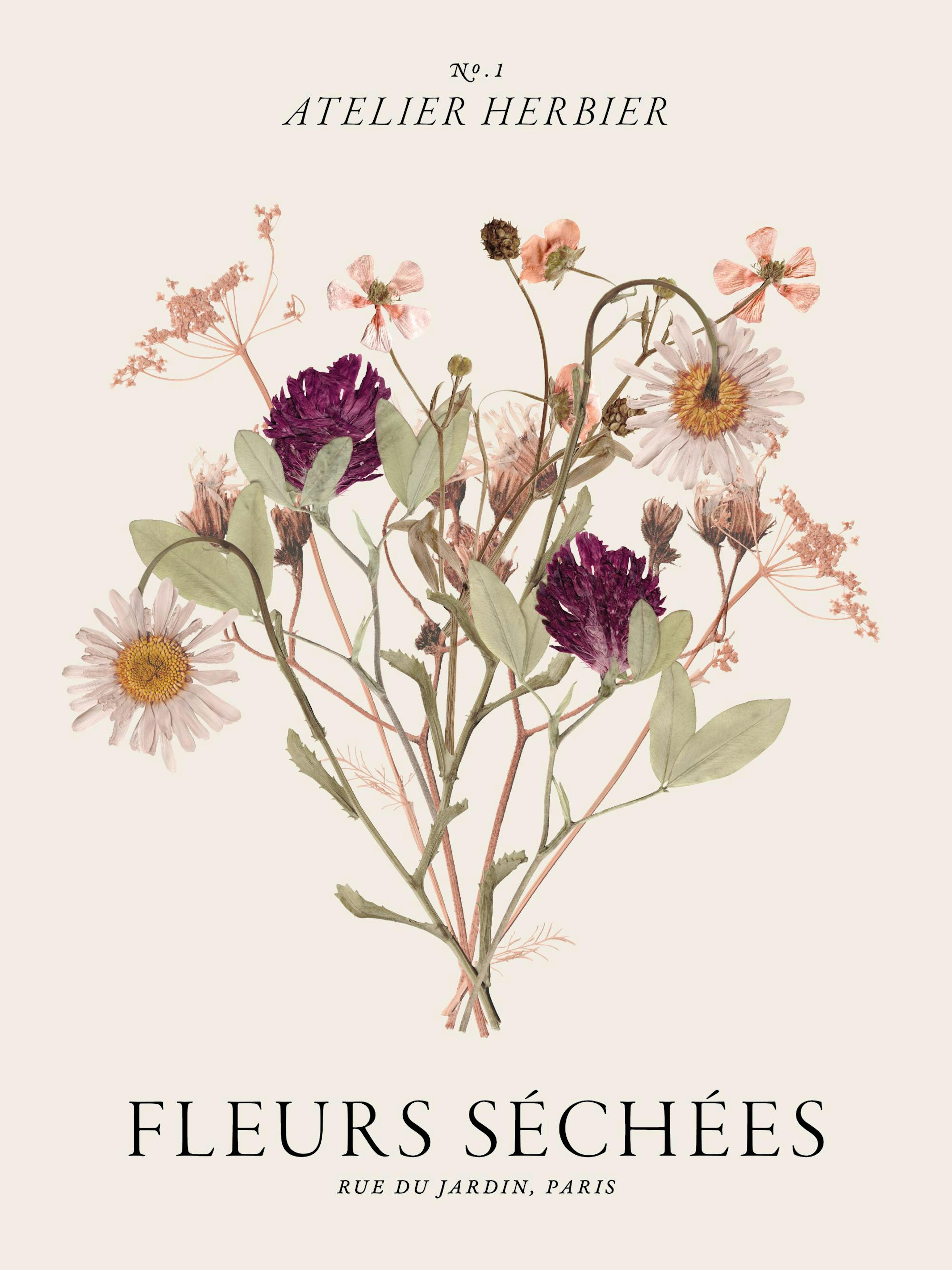 Fleurs Séchées Poster 0