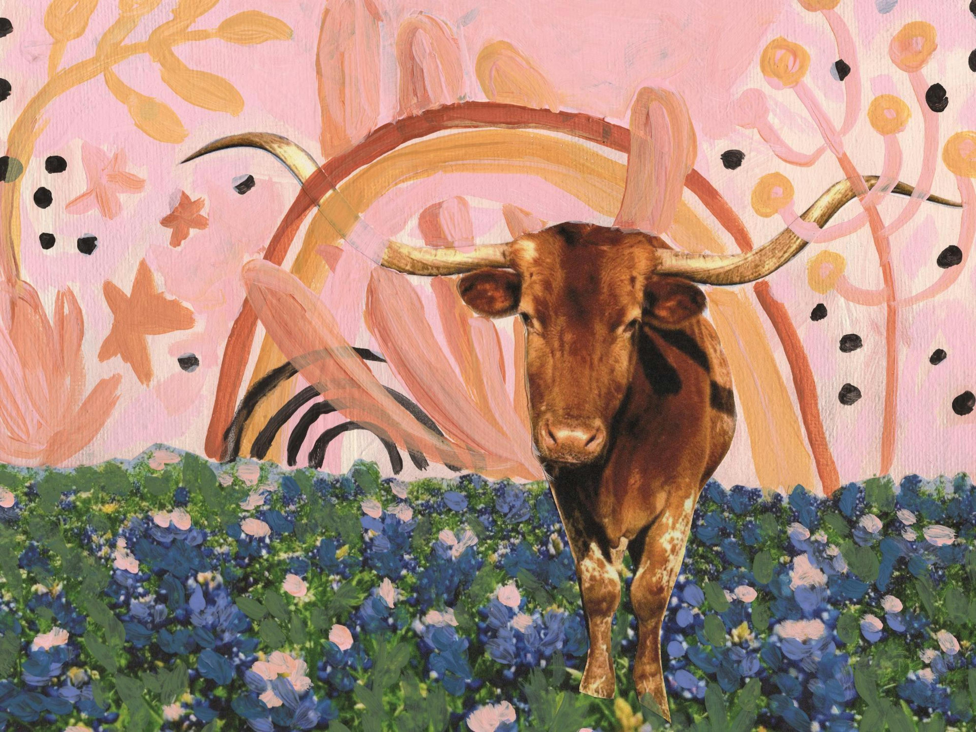 Eleanor Baker - Rainbow Longhorns Print