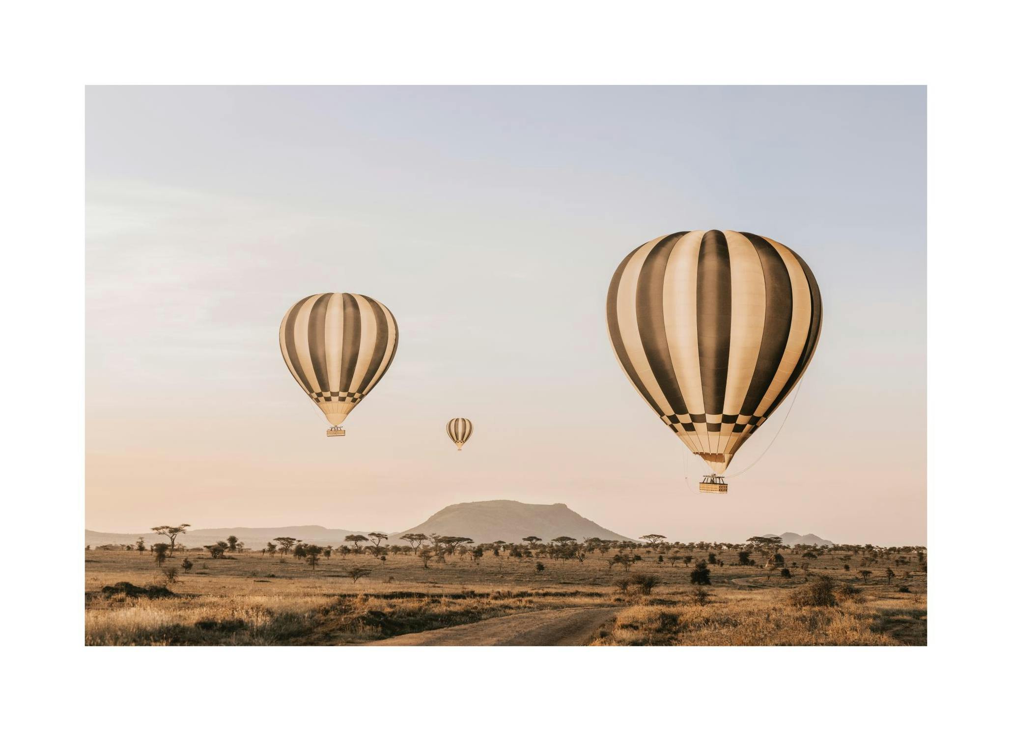 Air Balloons Over Serengeti Poster (70x100 cm) - Studio Savanna